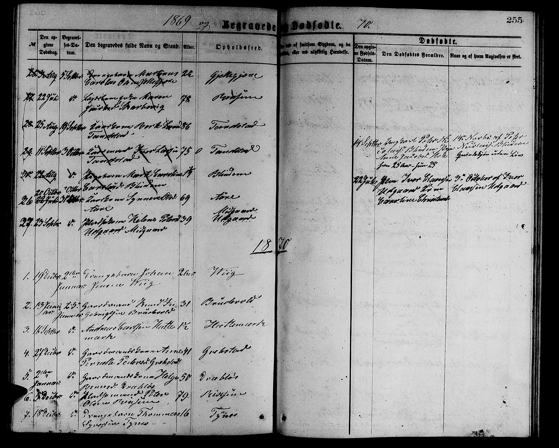 Ministerialprotokoller, klokkerbøker og fødselsregistre - Møre og Romsdal, AV/SAT-A-1454/523/L0338: Parish register (copy) no. 523C01, 1865-1877, p. 255