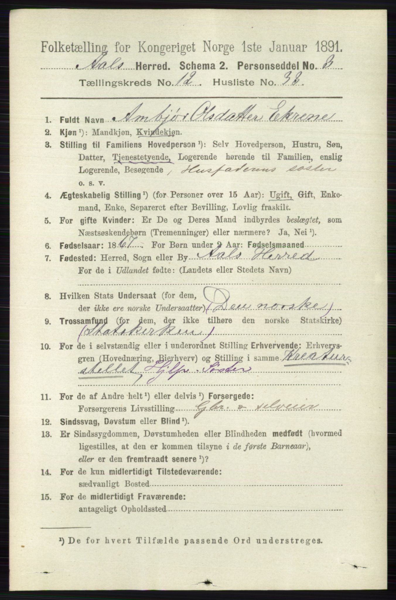 RA, 1891 census for 0619 Ål, 1891, p. 3199