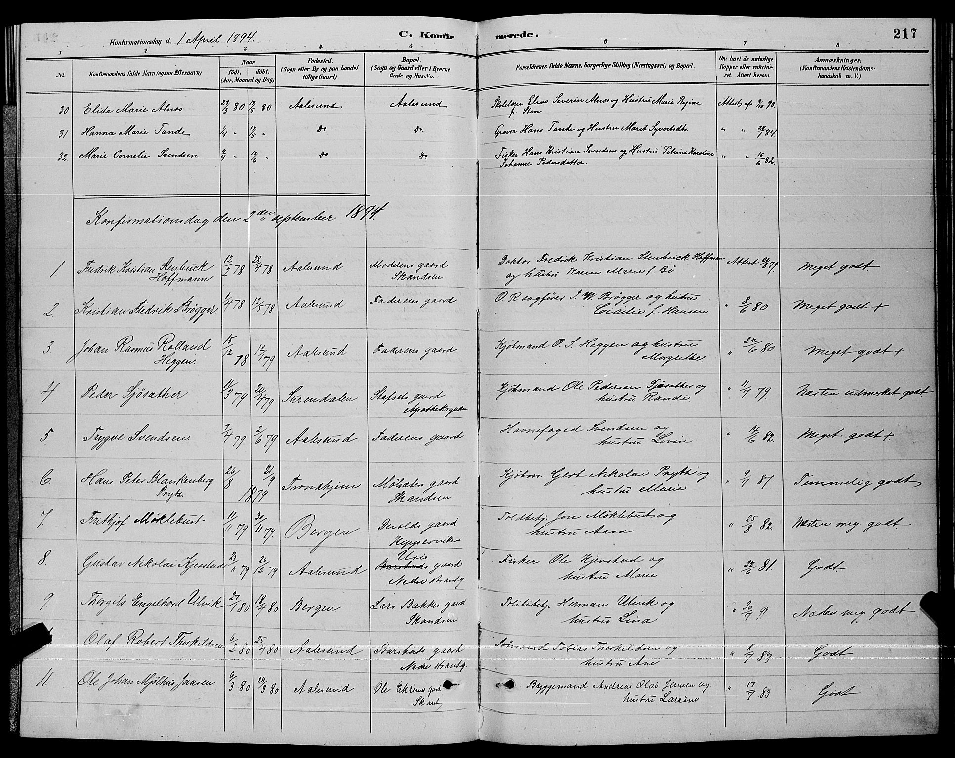 Ministerialprotokoller, klokkerbøker og fødselsregistre - Møre og Romsdal, AV/SAT-A-1454/529/L0467: Parish register (copy) no. 529C04, 1889-1897, p. 217