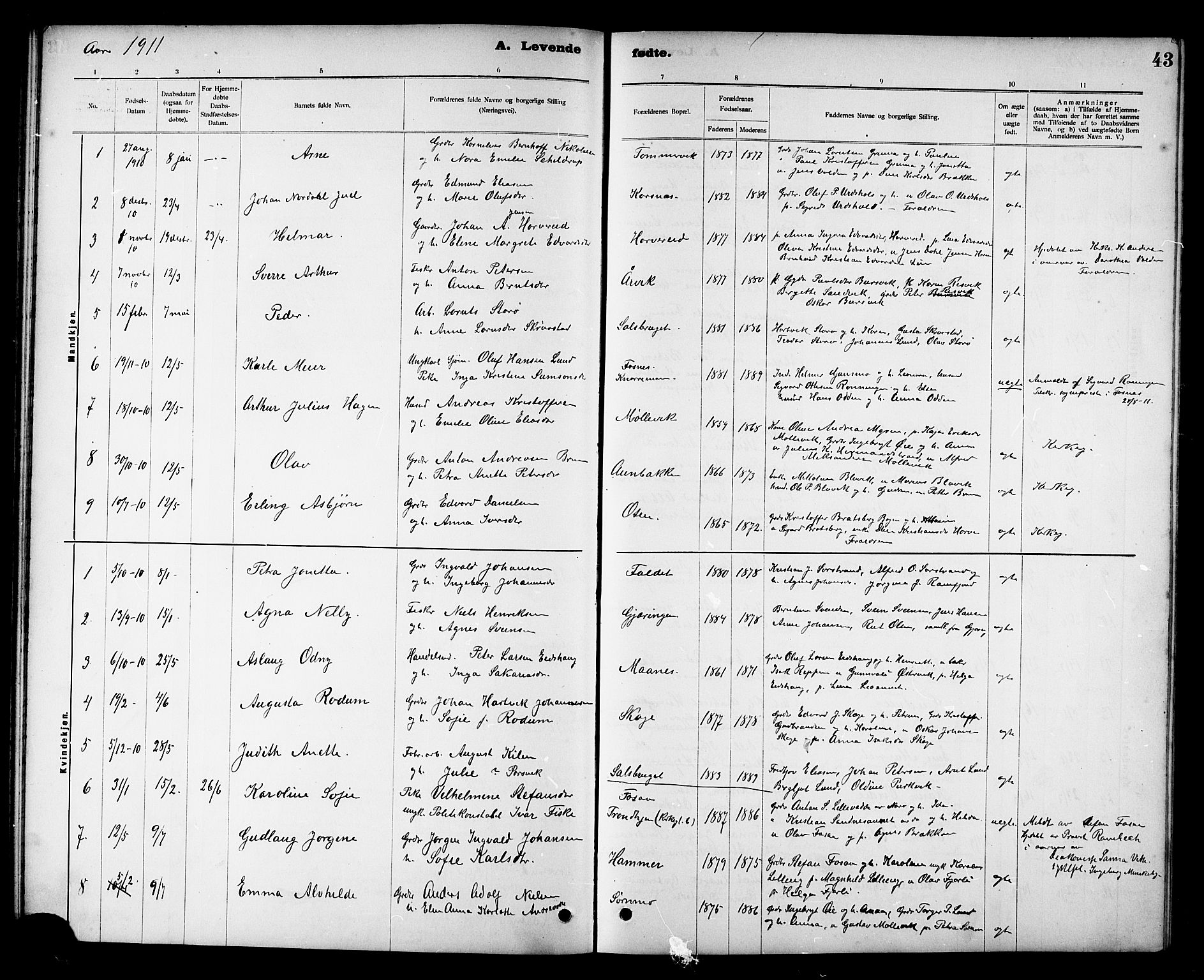 Ministerialprotokoller, klokkerbøker og fødselsregistre - Nord-Trøndelag, SAT/A-1458/780/L0652: Parish register (copy) no. 780C04, 1899-1911, p. 43