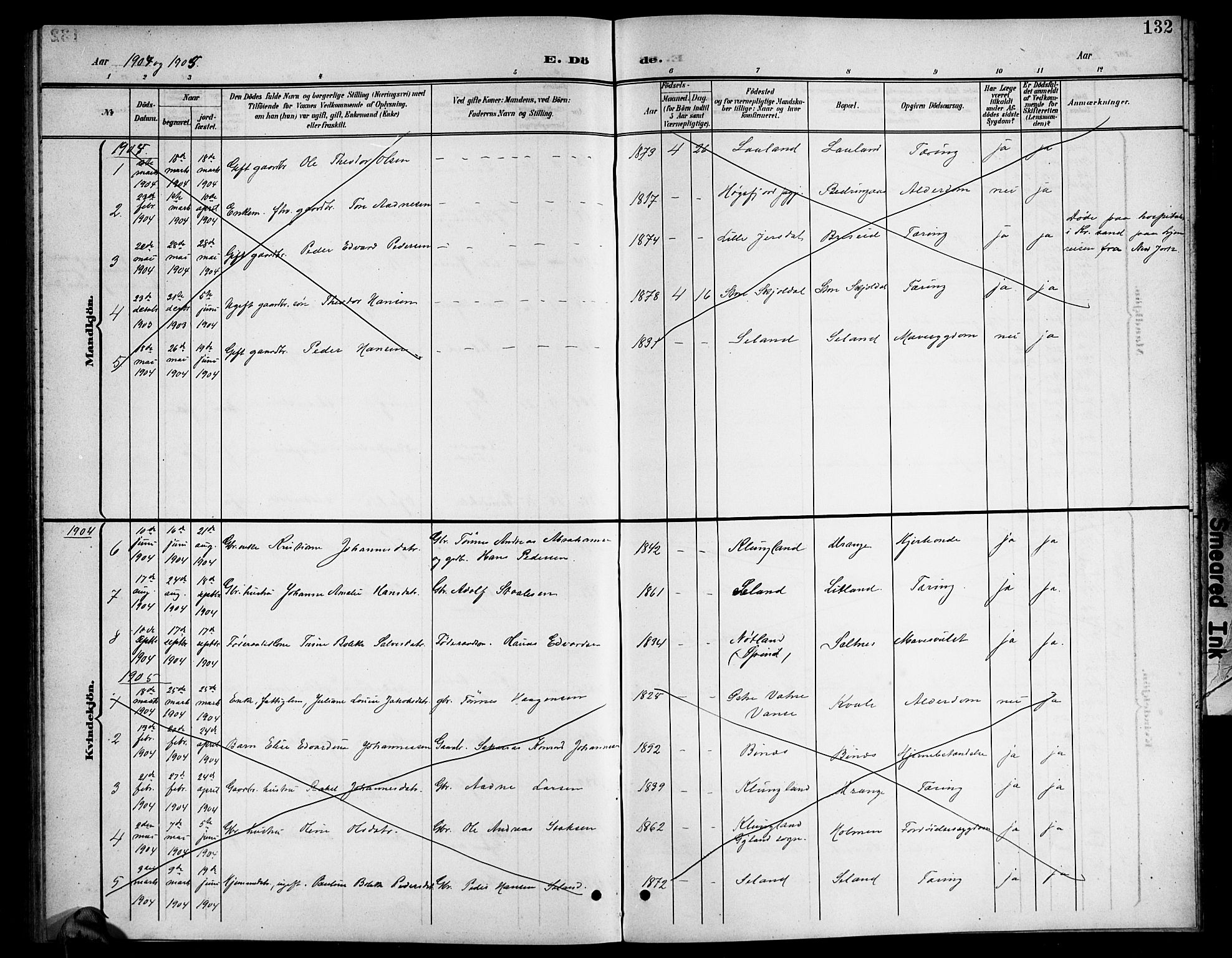 Herad sokneprestkontor, AV/SAK-1111-0018/F/Fb/Fba/L0005: Parish register (copy) no. B 5, 1899-1921, p. 132