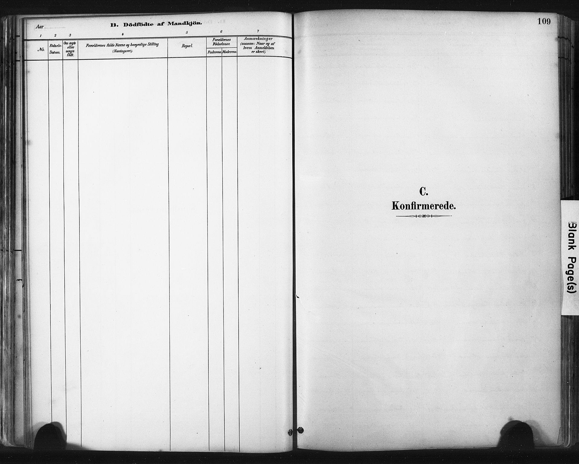 Skudenes sokneprestkontor, SAST/A -101849/H/Ha/Haa/L0009: Parish register (official) no. A 6, 1882-1912, p. 109