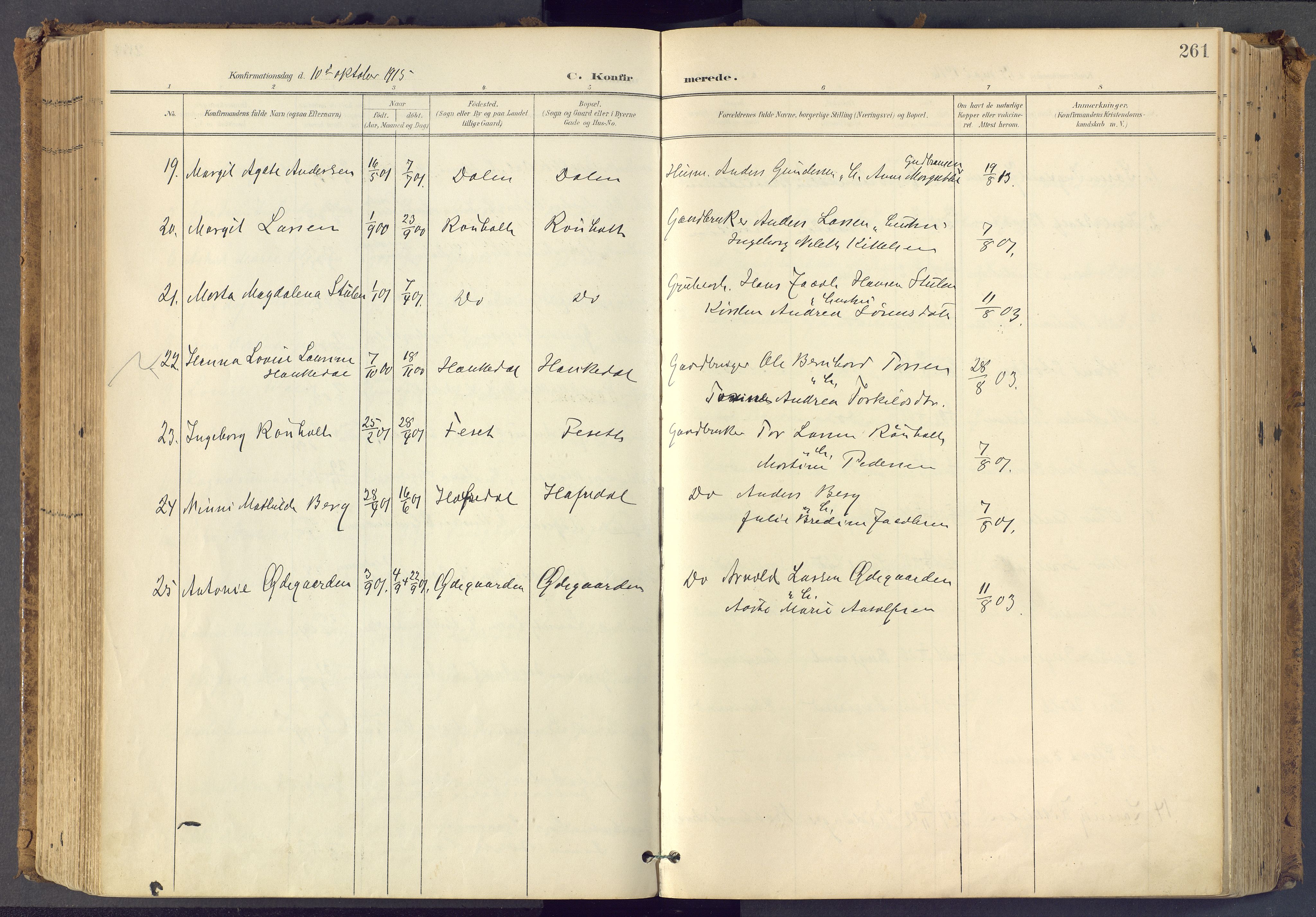 Bamble kirkebøker, SAKO/A-253/F/Fa/L0009: Parish register (official) no. I 9, 1901-1917, p. 261