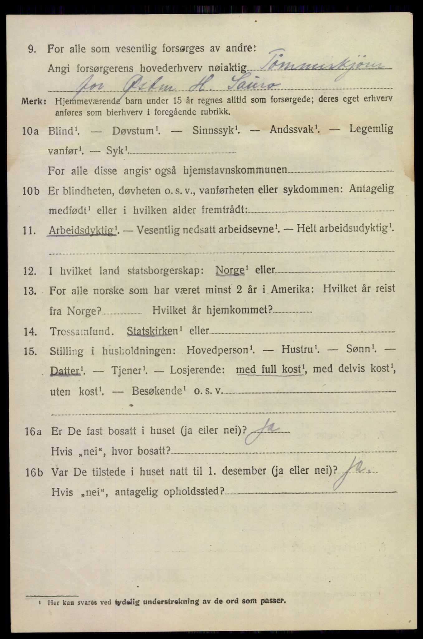 SAKO, 1920 census for Hovin, 1920, p. 990