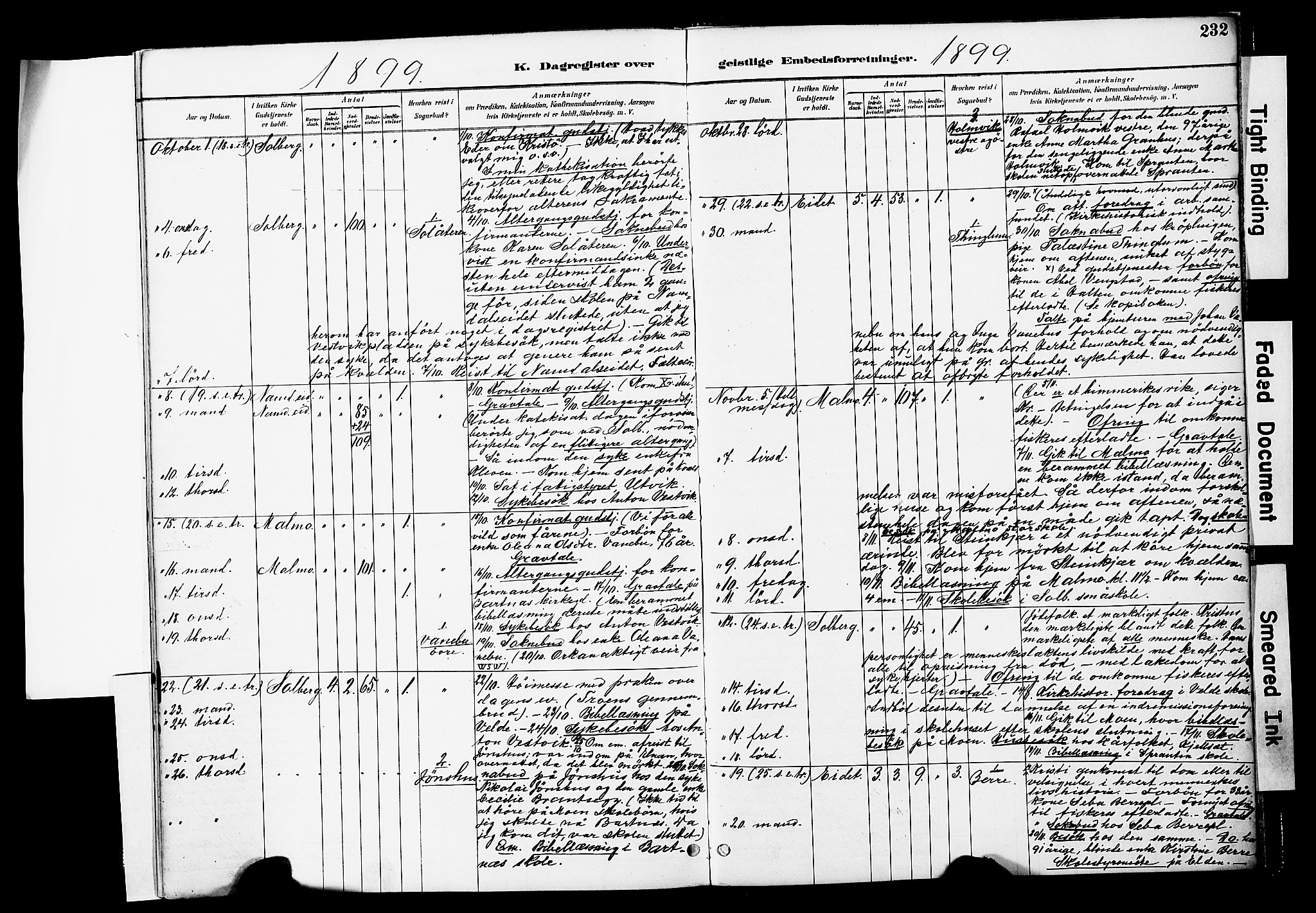 Ministerialprotokoller, klokkerbøker og fødselsregistre - Nord-Trøndelag, AV/SAT-A-1458/741/L0396: Parish register (official) no. 741A10, 1889-1901, p. 232