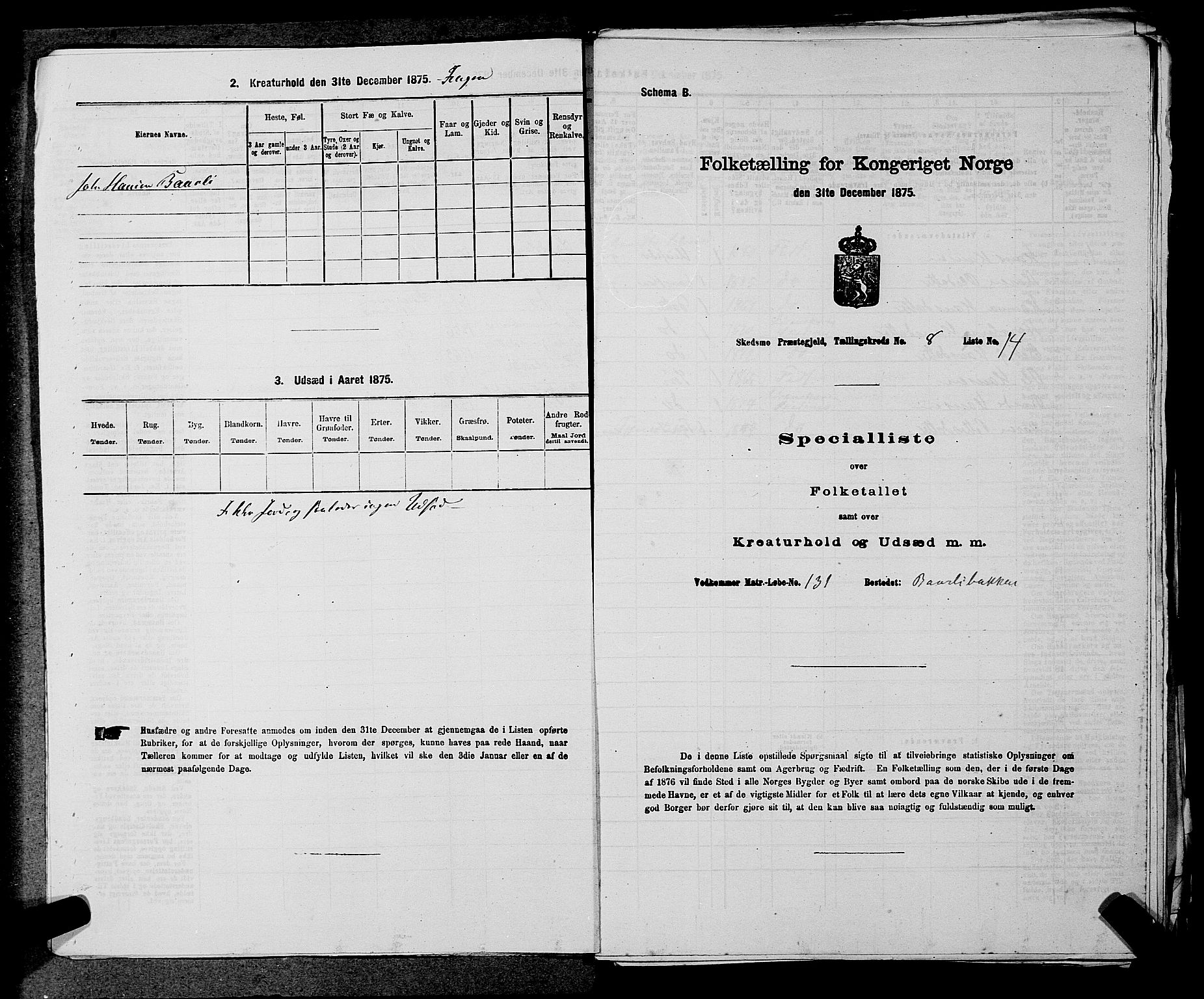 RA, 1875 census for 0231P Skedsmo, 1875, p. 1132