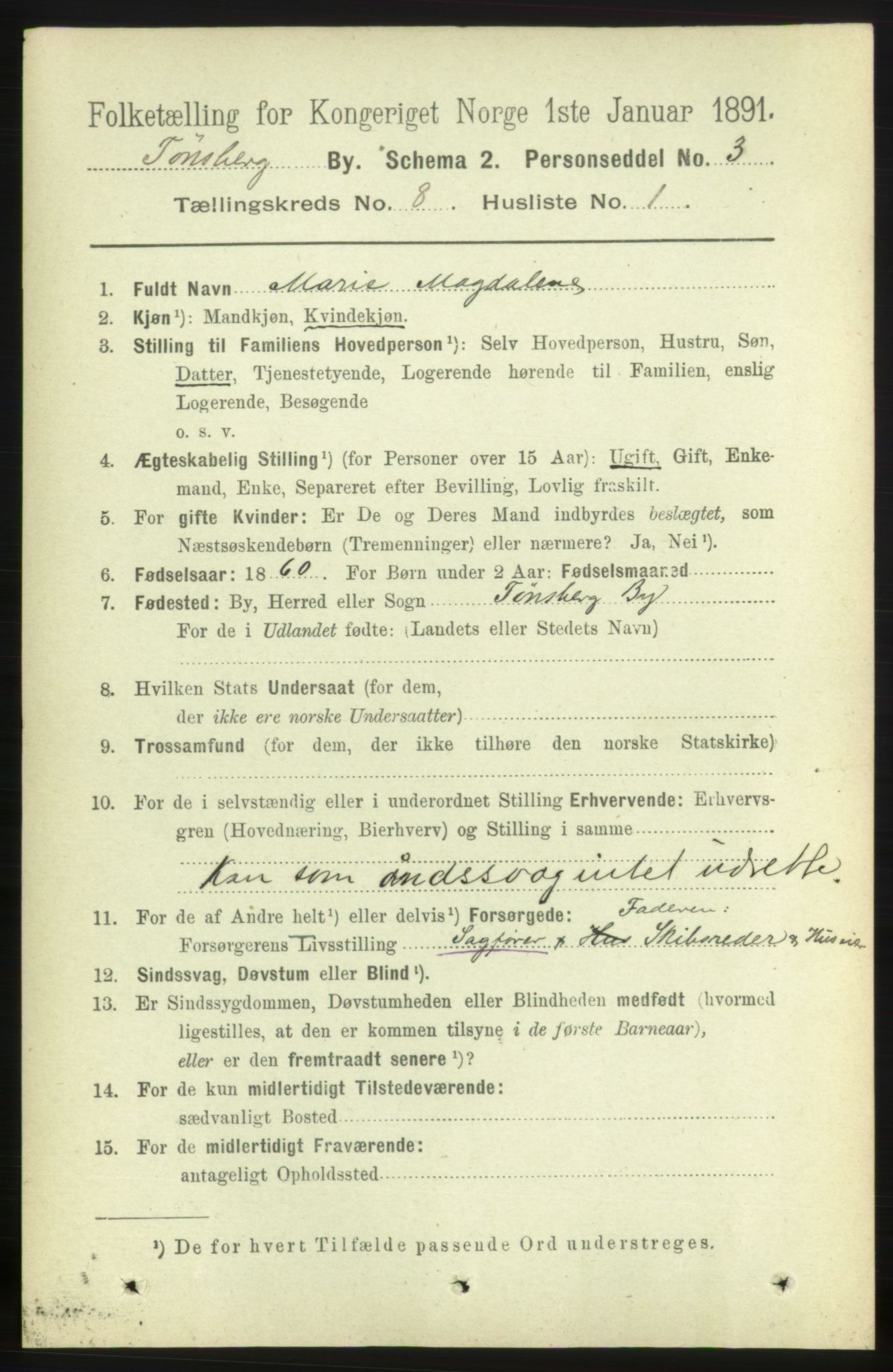 RA, 1891 census for 0705 Tønsberg, 1891, p. 3053