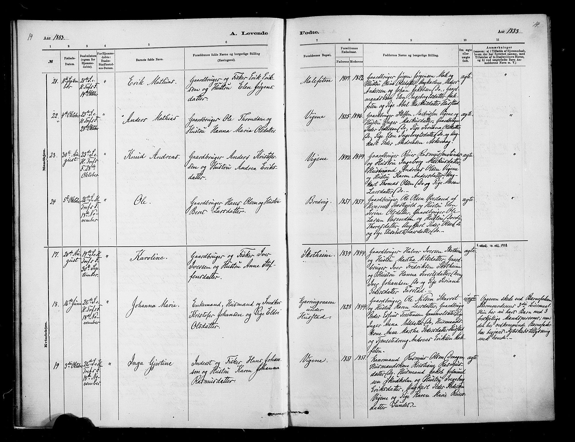 Ministerialprotokoller, klokkerbøker og fødselsregistre - Møre og Romsdal, SAT/A-1454/567/L0778: Parish register (official) no. 567A01, 1881-1903, p. 14