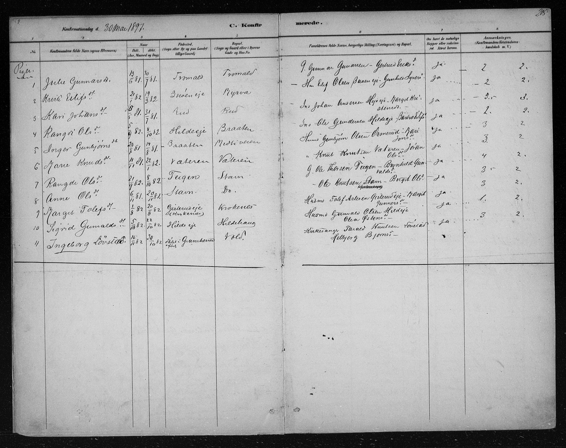 Nes kirkebøker, AV/SAKO-A-236/F/Fa/L0012: Parish register (official) no. 12, 1881-1917, p. 205