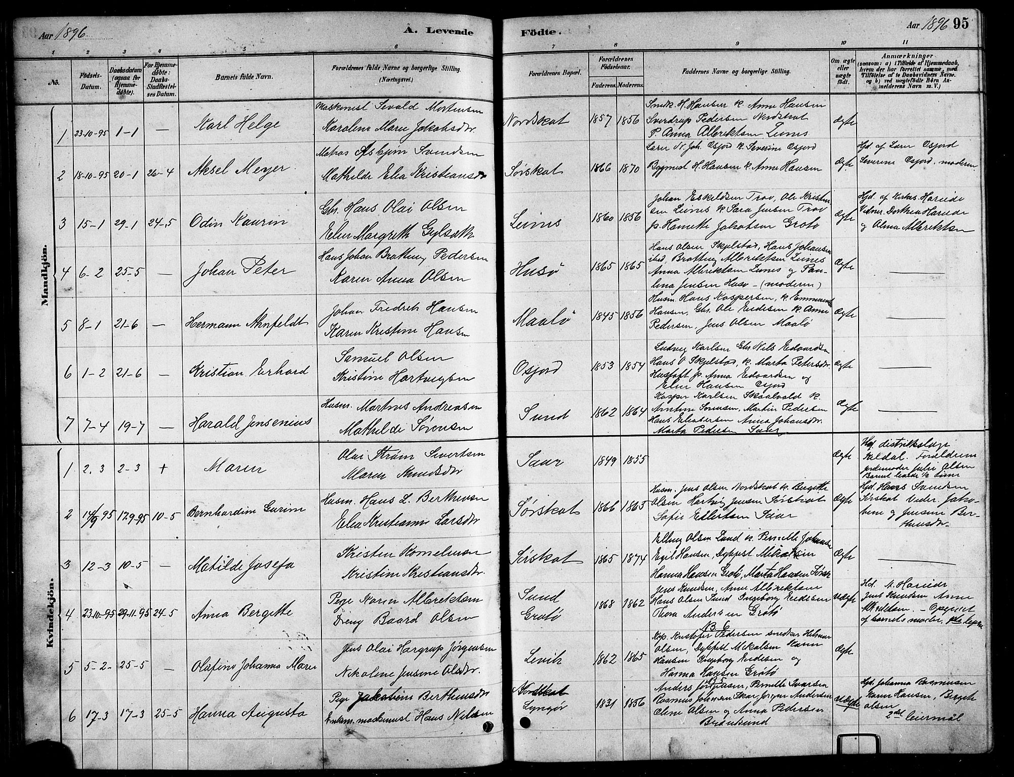 Ministerialprotokoller, klokkerbøker og fødselsregistre - Nordland, AV/SAT-A-1459/857/L0828: Parish register (copy) no. 857C03, 1879-1908, p. 95