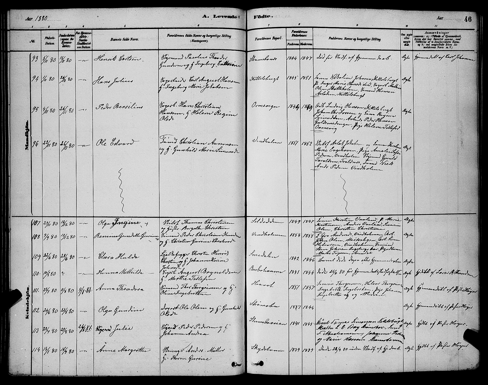 Barbu sokneprestkontor, AV/SAK-1111-0003/F/Fb/L0001: Parish register (copy) no. B 1, 1878-1890, p. 46