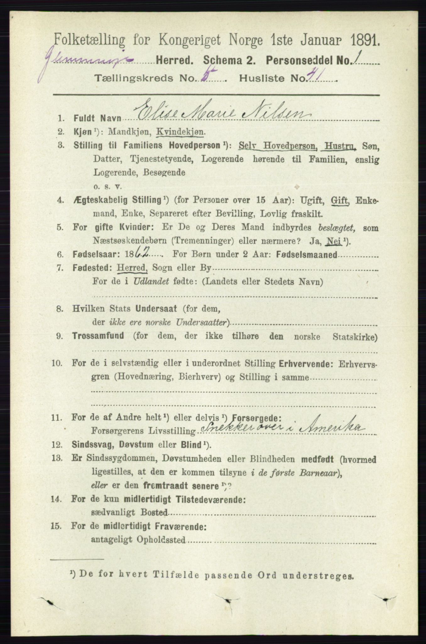 RA, 1891 census for 0132 Glemmen, 1891, p. 6358