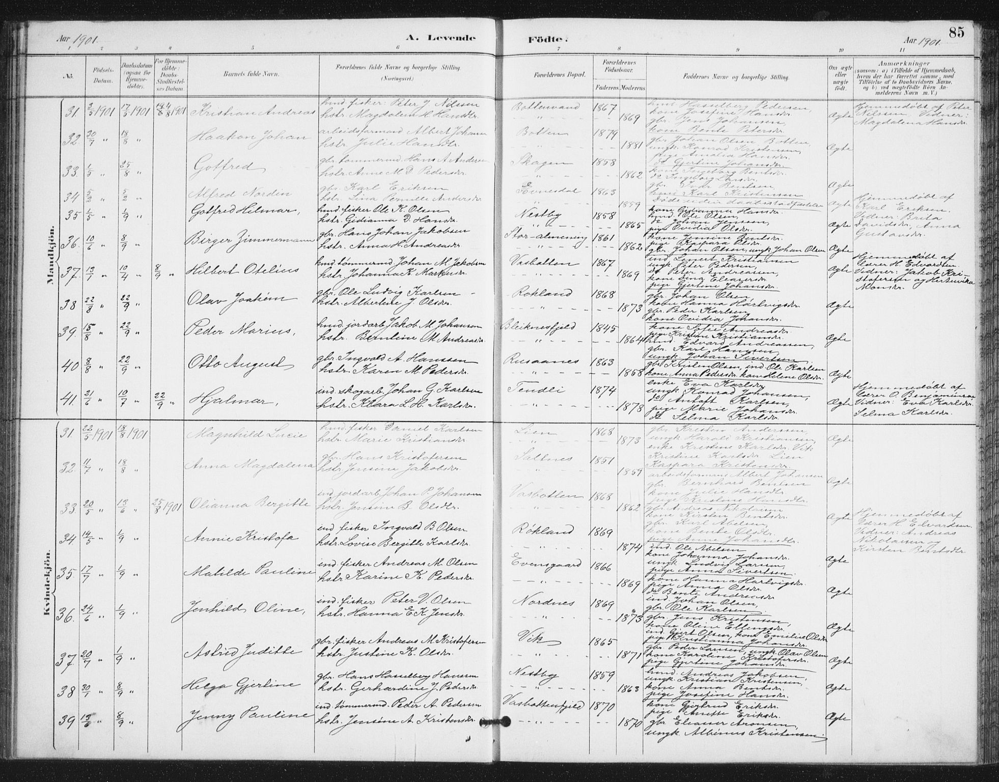 Ministerialprotokoller, klokkerbøker og fødselsregistre - Nordland, AV/SAT-A-1459/847/L0682: Parish register (copy) no. 847C10, 1889-1907, p. 85