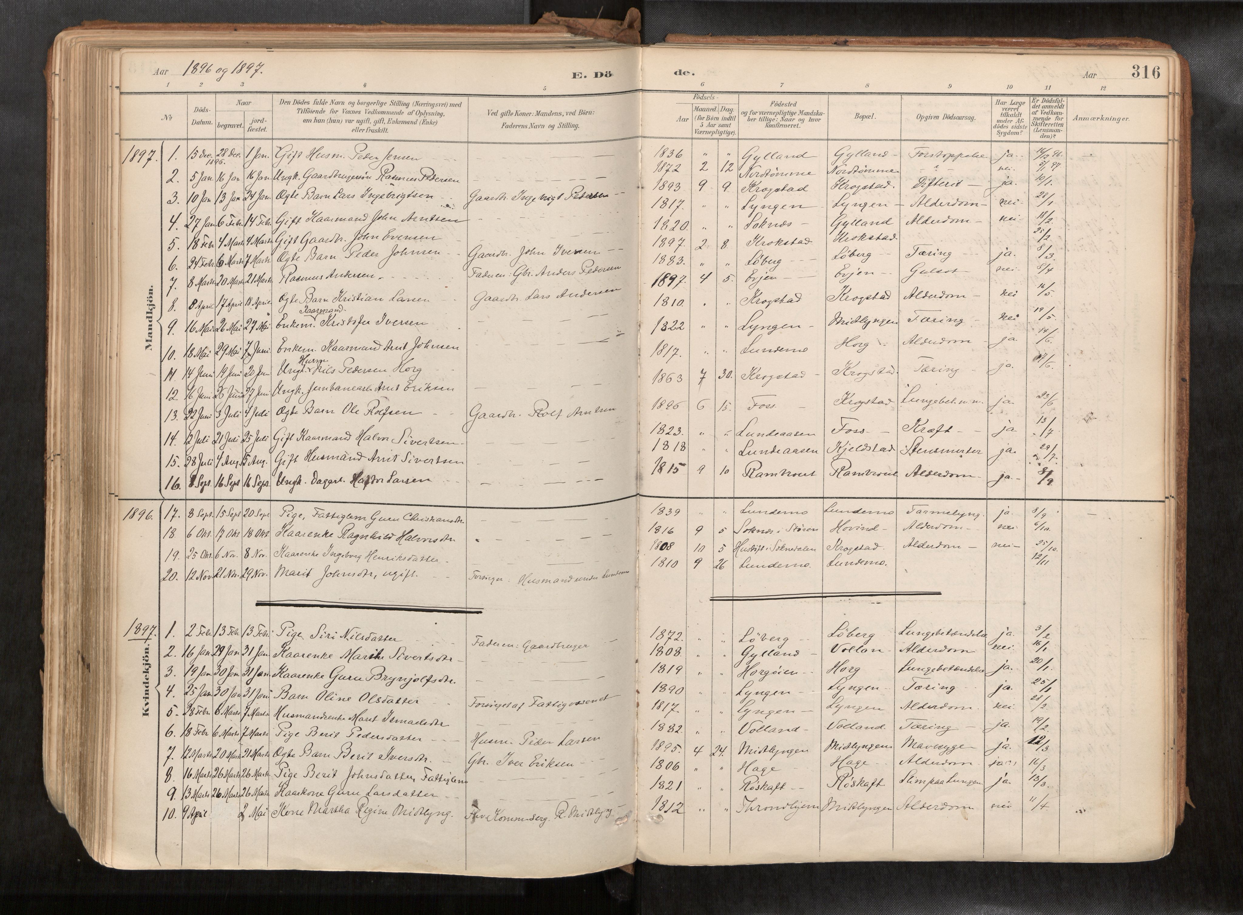 Ministerialprotokoller, klokkerbøker og fødselsregistre - Sør-Trøndelag, SAT/A-1456/692/L1105b: Parish register (official) no. 692A06, 1891-1934, p. 316