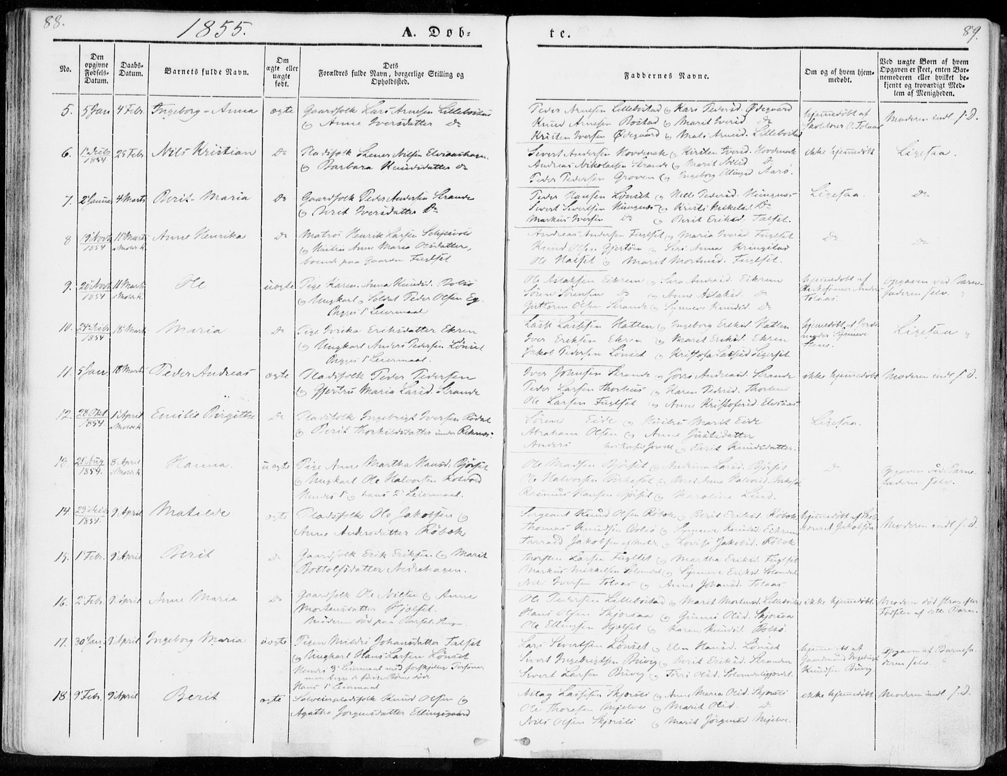 Ministerialprotokoller, klokkerbøker og fødselsregistre - Møre og Romsdal, SAT/A-1454/555/L0653: Parish register (official) no. 555A04, 1843-1869, p. 88-89