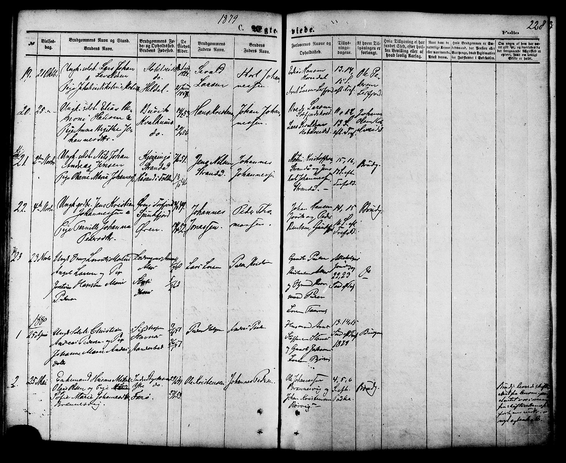 Ministerialprotokoller, klokkerbøker og fødselsregistre - Nordland, AV/SAT-A-1459/853/L0771: Parish register (official) no. 853A10, 1870-1881, p. 228