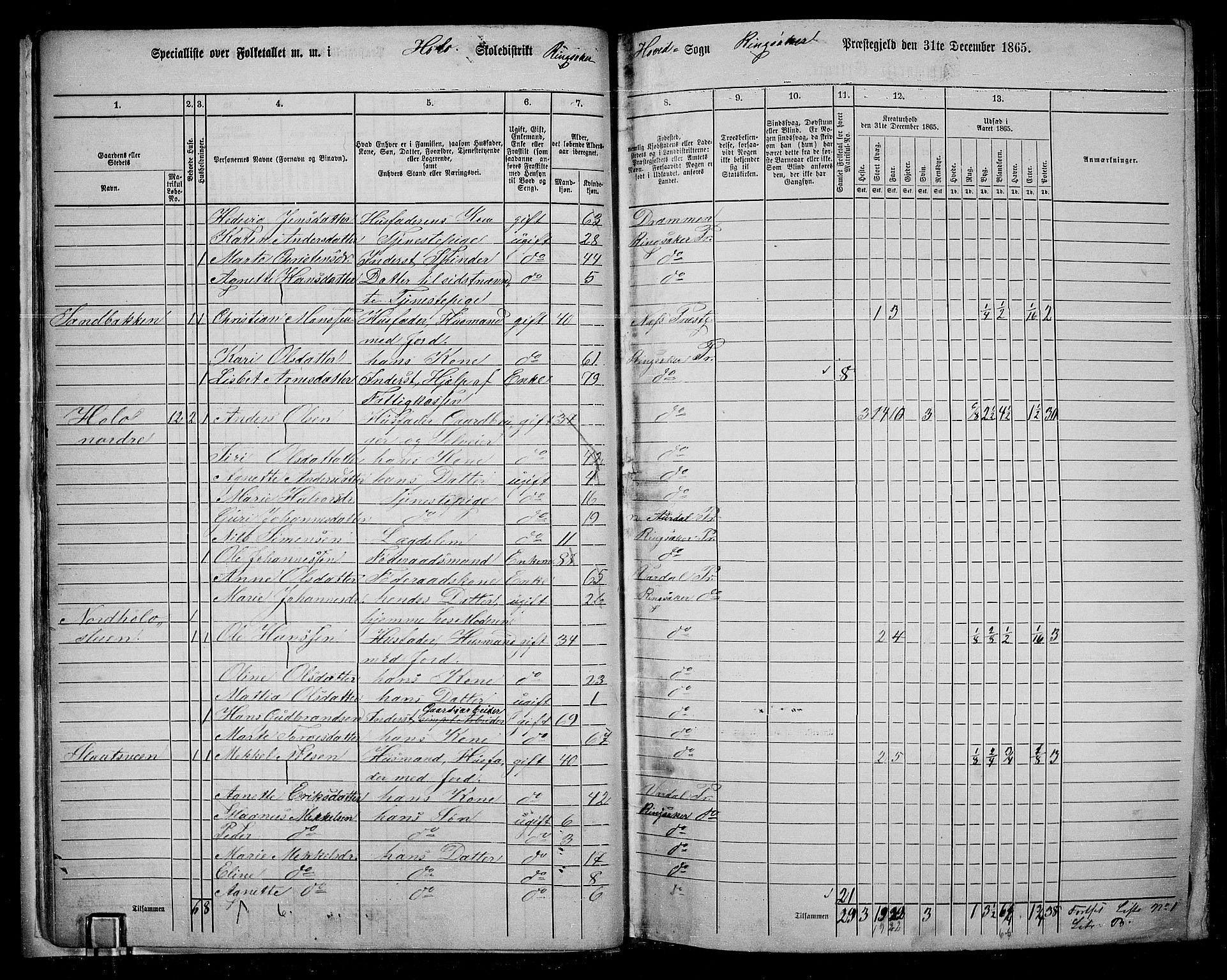 RA, 1865 census for Ringsaker, 1865, p. 32