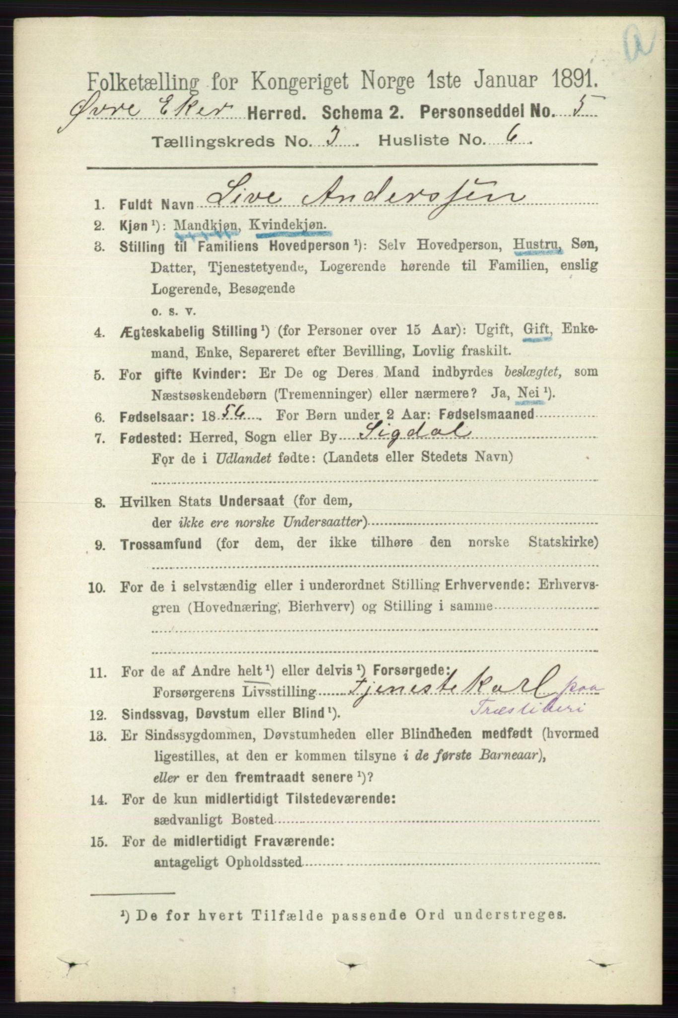 RA, 1891 census for 0624 Øvre Eiker, 1891, p. 1023