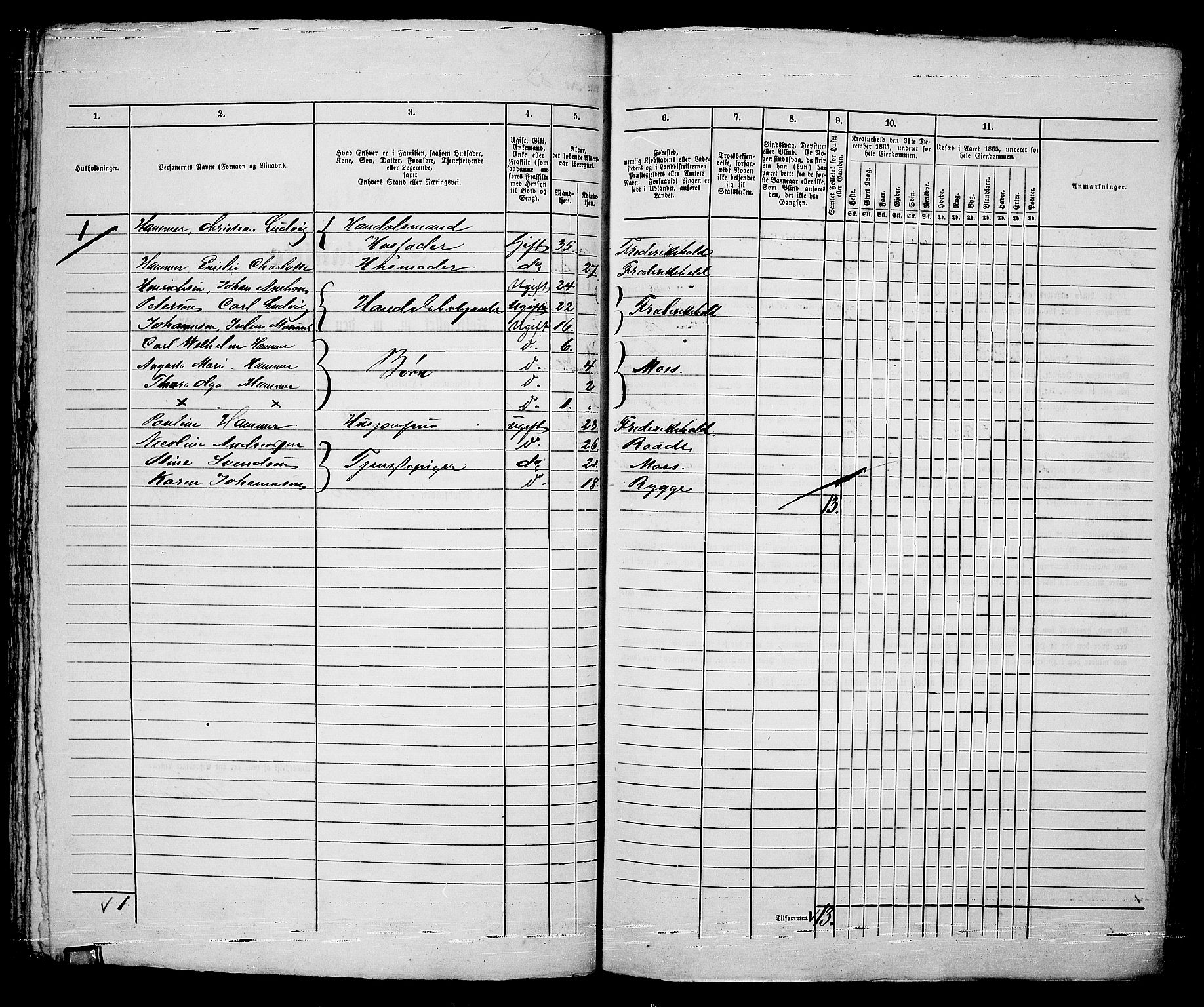 RA, 1865 census for Moss/Moss, 1865, p. 172