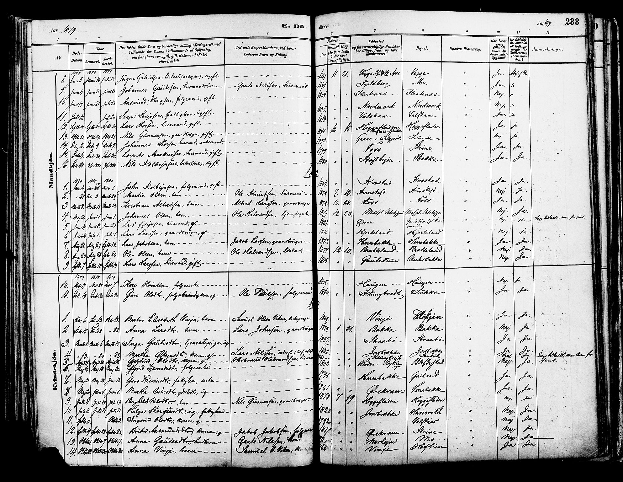 Suldal sokneprestkontor, AV/SAST-A-101845/01/IV/L0011: Parish register (official) no. A 11, 1878-1900, p. 233