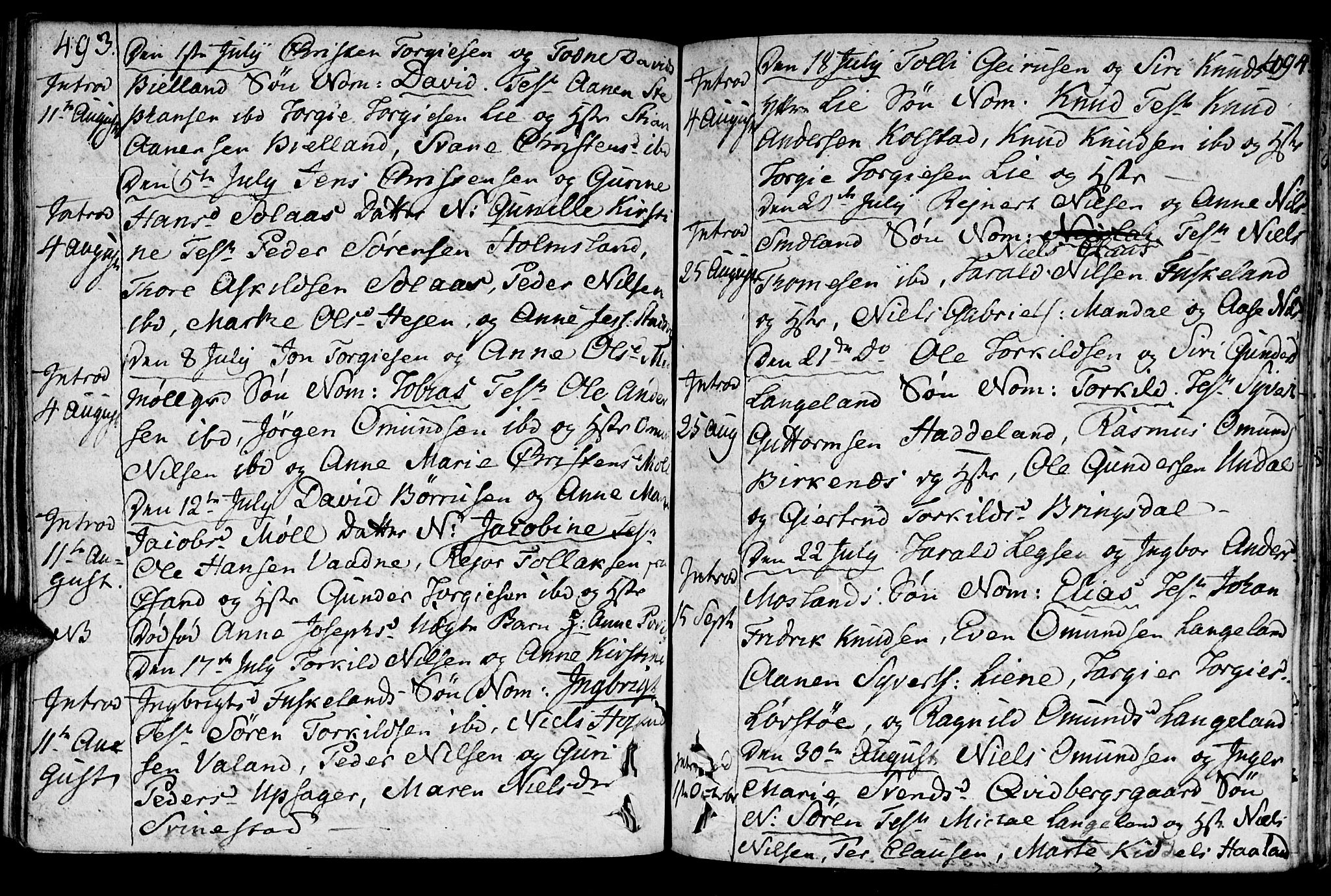 Holum sokneprestkontor, AV/SAK-1111-0022/F/Fa/Faa/L0003: Parish register (official) no. A 3, 1780-1821, p. 493-494