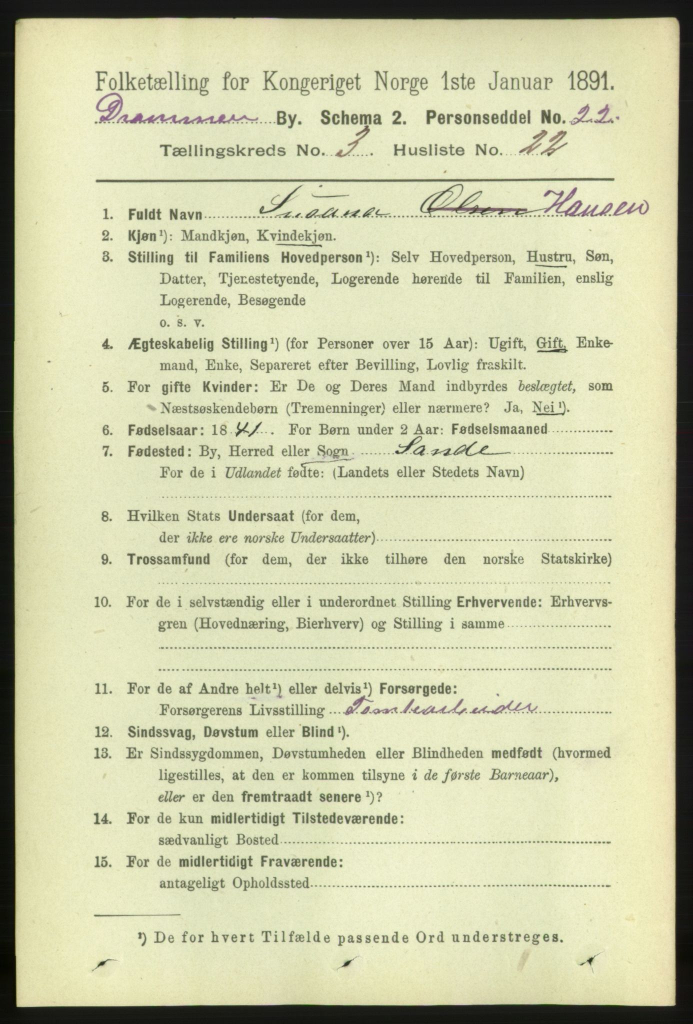 RA, 1891 census for 0602 Drammen, 1891, p. 5116