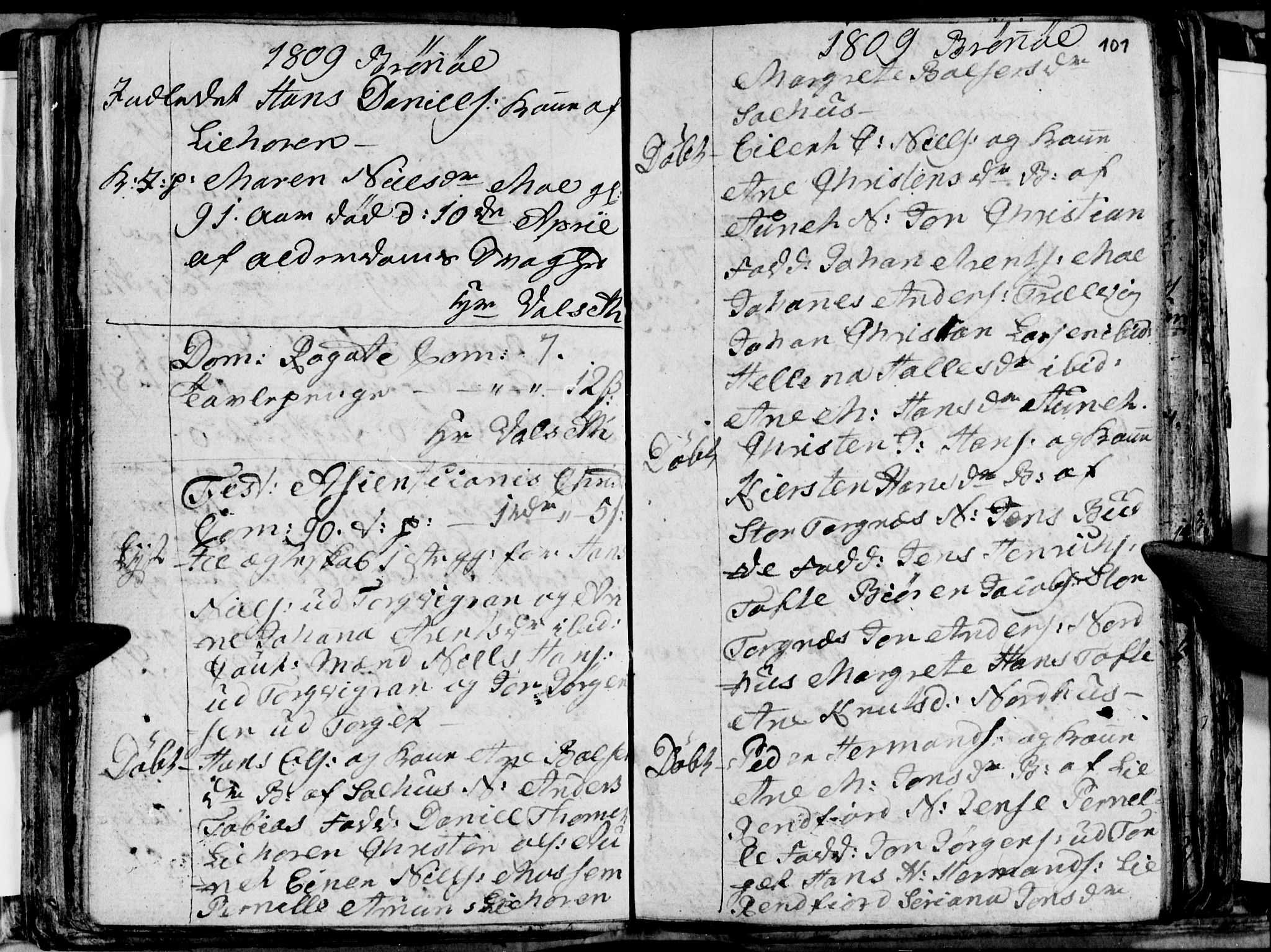 Ministerialprotokoller, klokkerbøker og fødselsregistre - Nordland, SAT/A-1459/813/L0209: Parish register (copy) no. 813C01, 1803-1821, p. 101