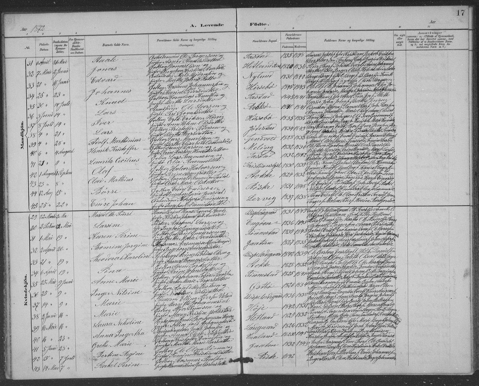 Hetland sokneprestkontor, AV/SAST-A-101826/30/30BB/L0004: Parish register (copy) no. B 4, 1869-1877, p. 17