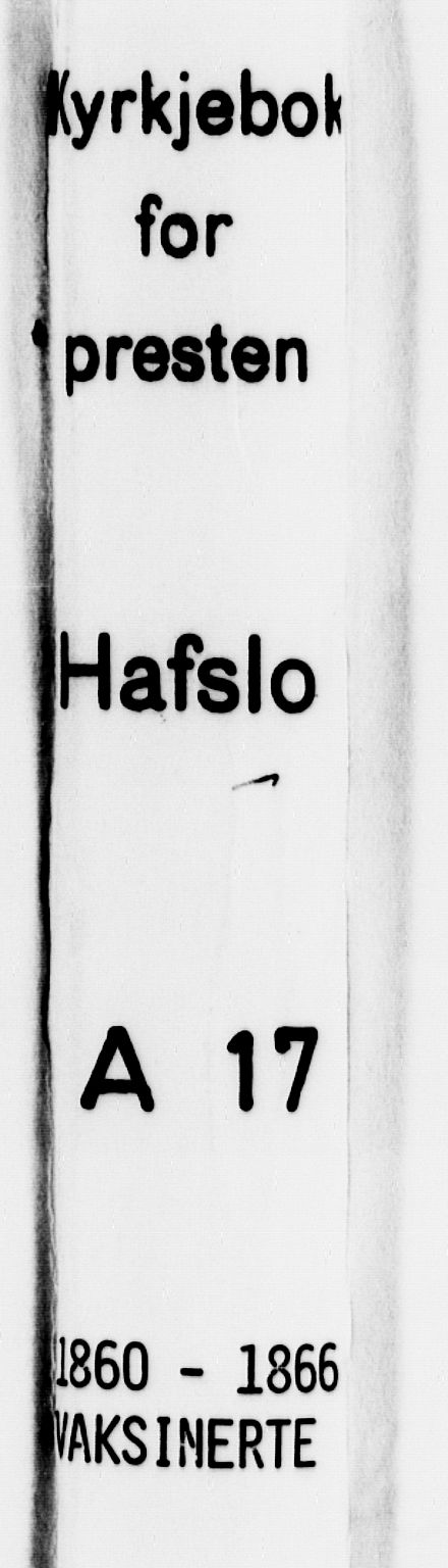 Hafslo sokneprestembete, SAB/A-80301/H/Haa/Haaa/L0017: Parish register (official) no. A 17, 1860-1866