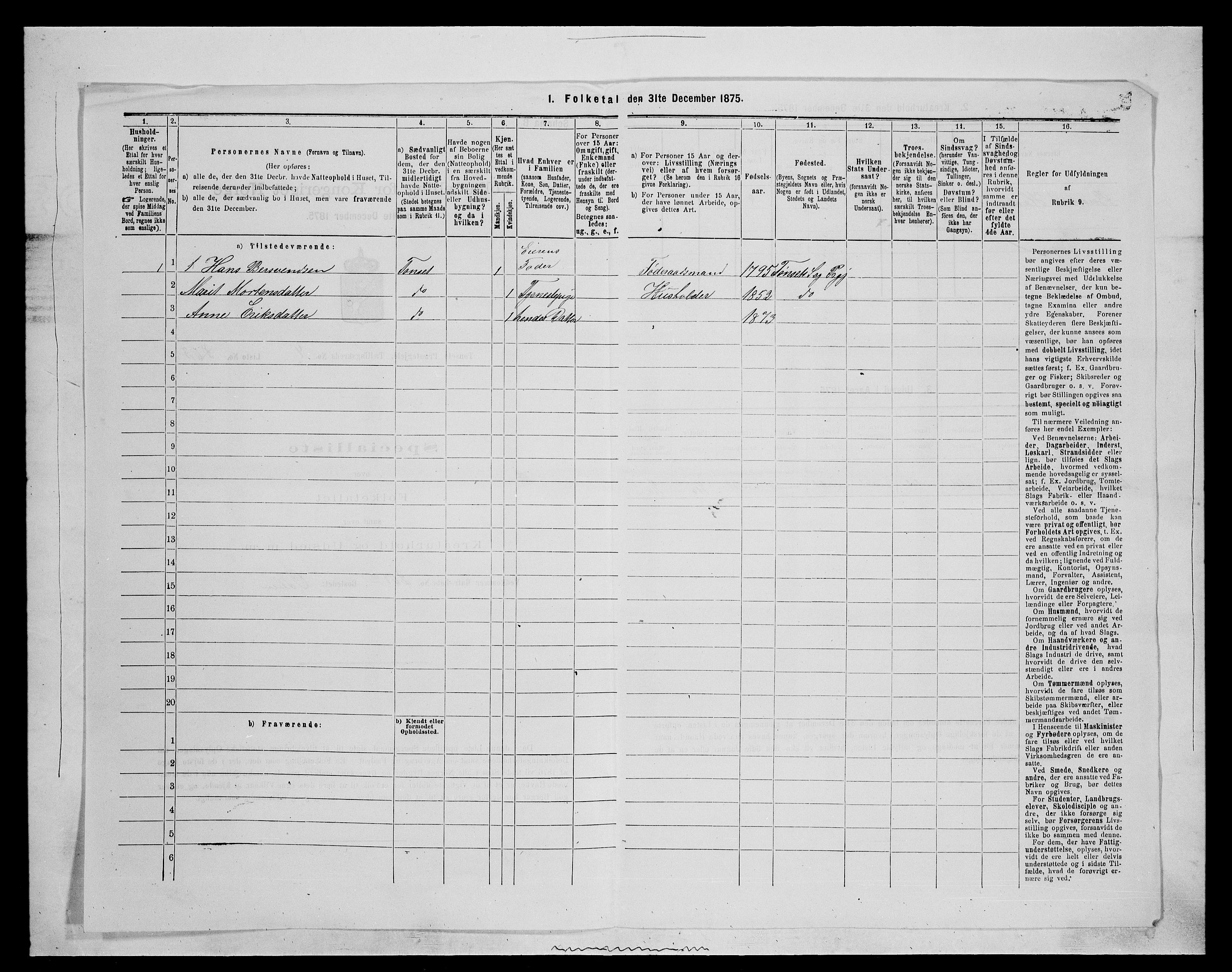 SAH, 1875 census for 0437P Tynset, 1875, p. 555