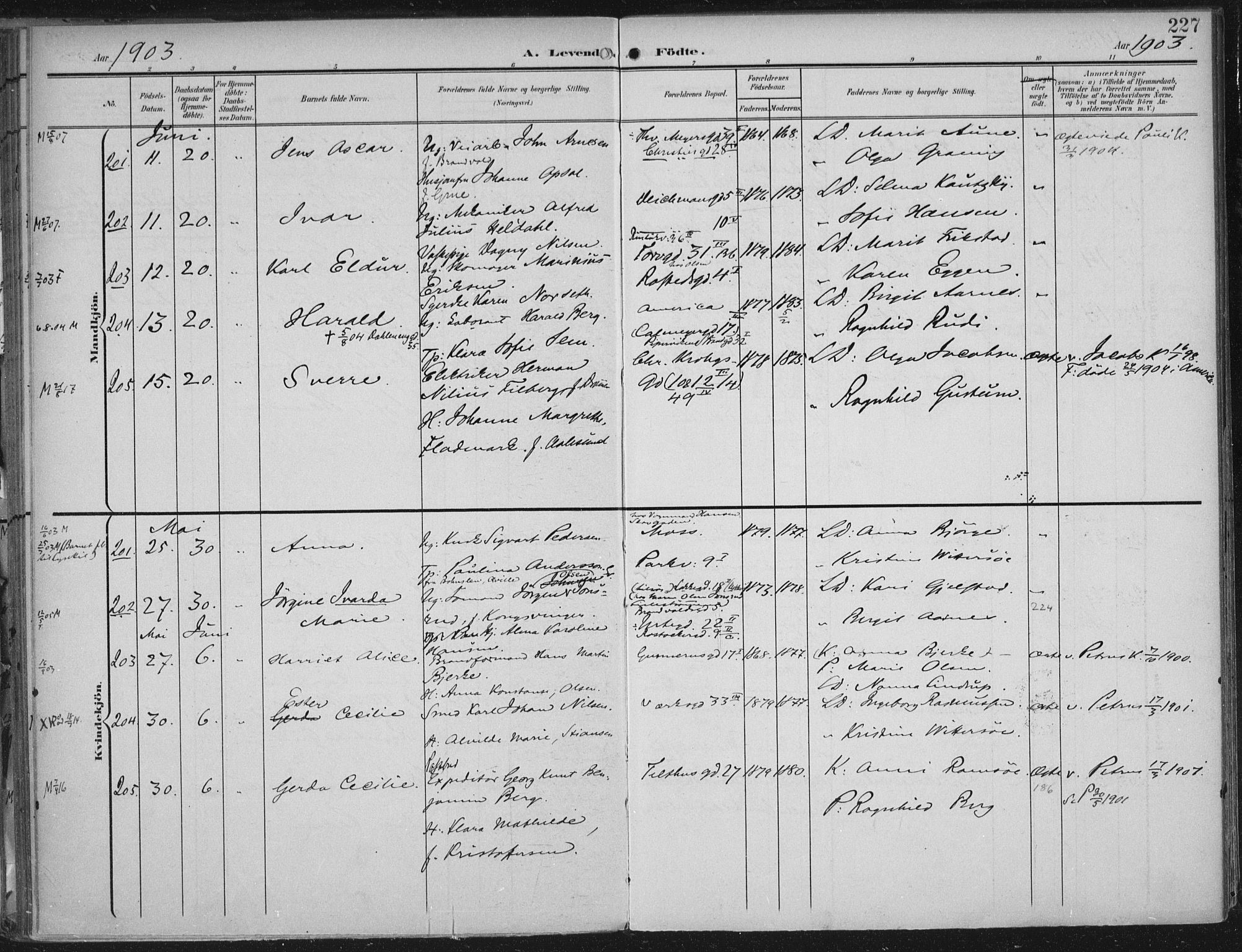Rikshospitalet prestekontor Kirkebøker, SAO/A-10309b/F/L0012: Parish register (official) no. 12, 1901-1904, p. 227