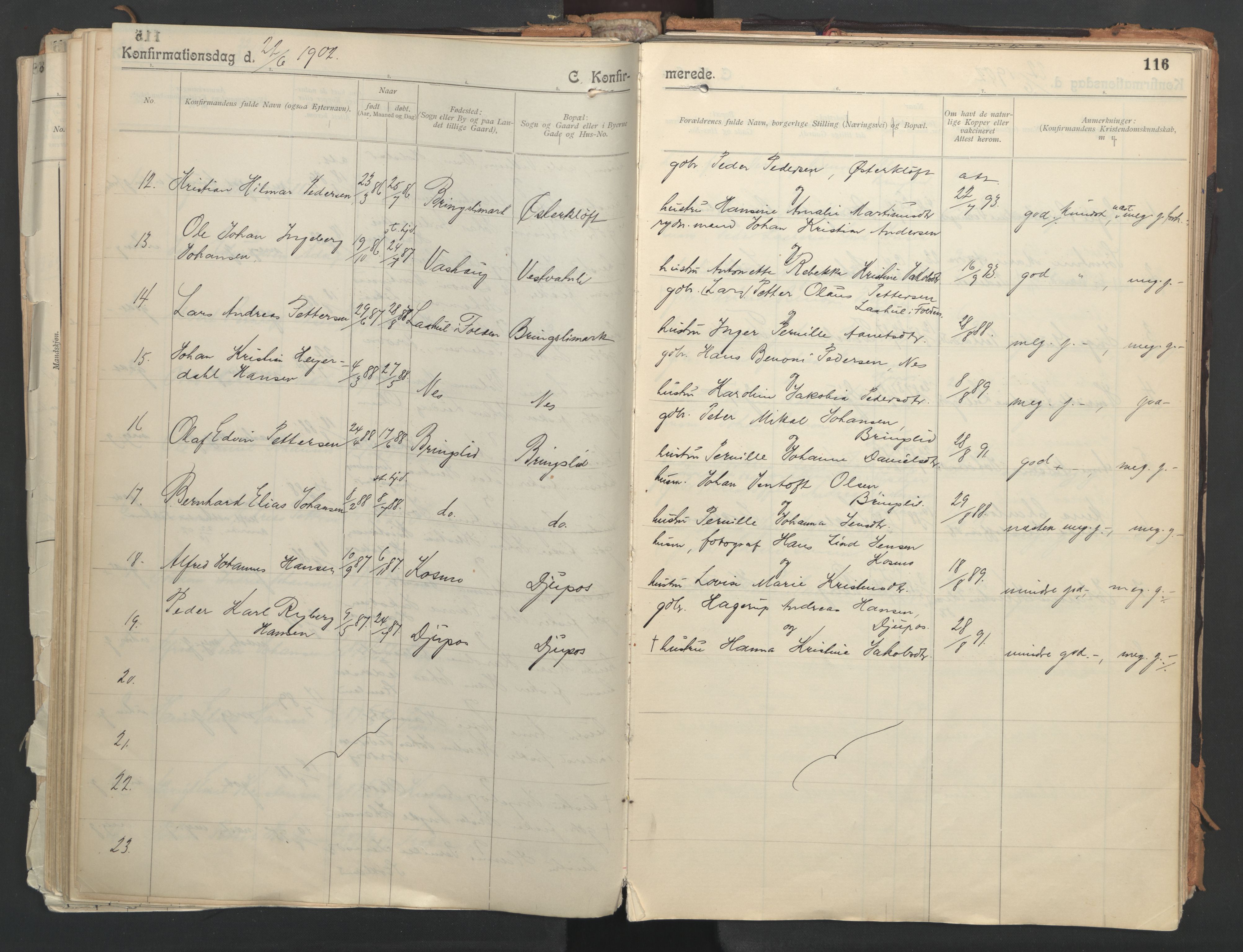 Ministerialprotokoller, klokkerbøker og fødselsregistre - Nordland, AV/SAT-A-1459/851/L0724: Parish register (official) no. 851A01, 1901-1922, p. 116