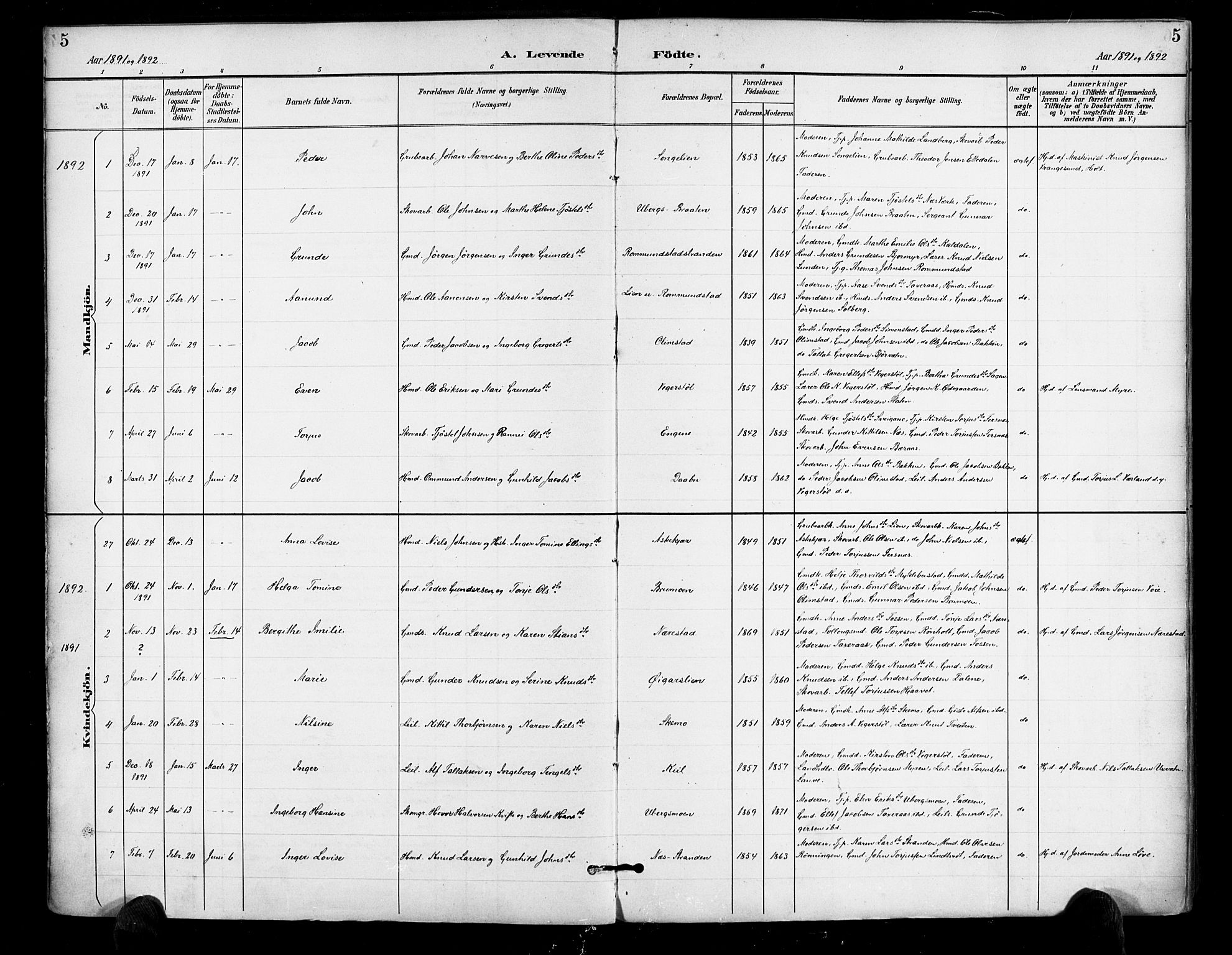 Gjerstad sokneprestkontor, AV/SAK-1111-0014/F/Fa/Fab/L0005: Parish register (official) no. A 5, 1891-1908, p. 5