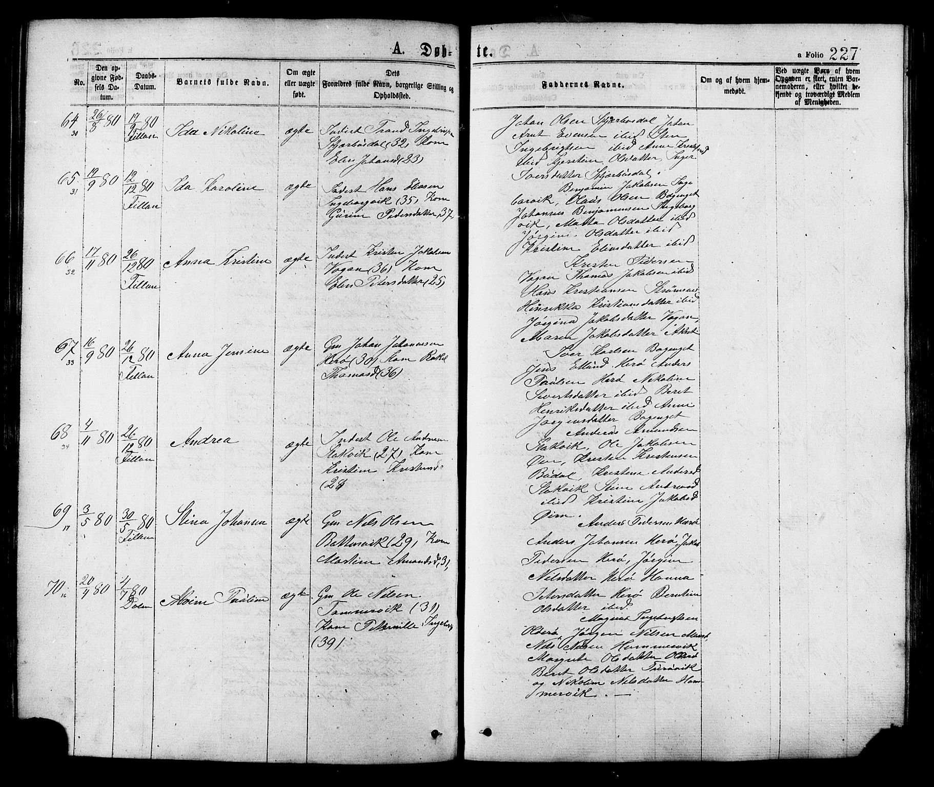 Ministerialprotokoller, klokkerbøker og fødselsregistre - Sør-Trøndelag, AV/SAT-A-1456/634/L0532: Parish register (official) no. 634A08, 1871-1881, p. 227