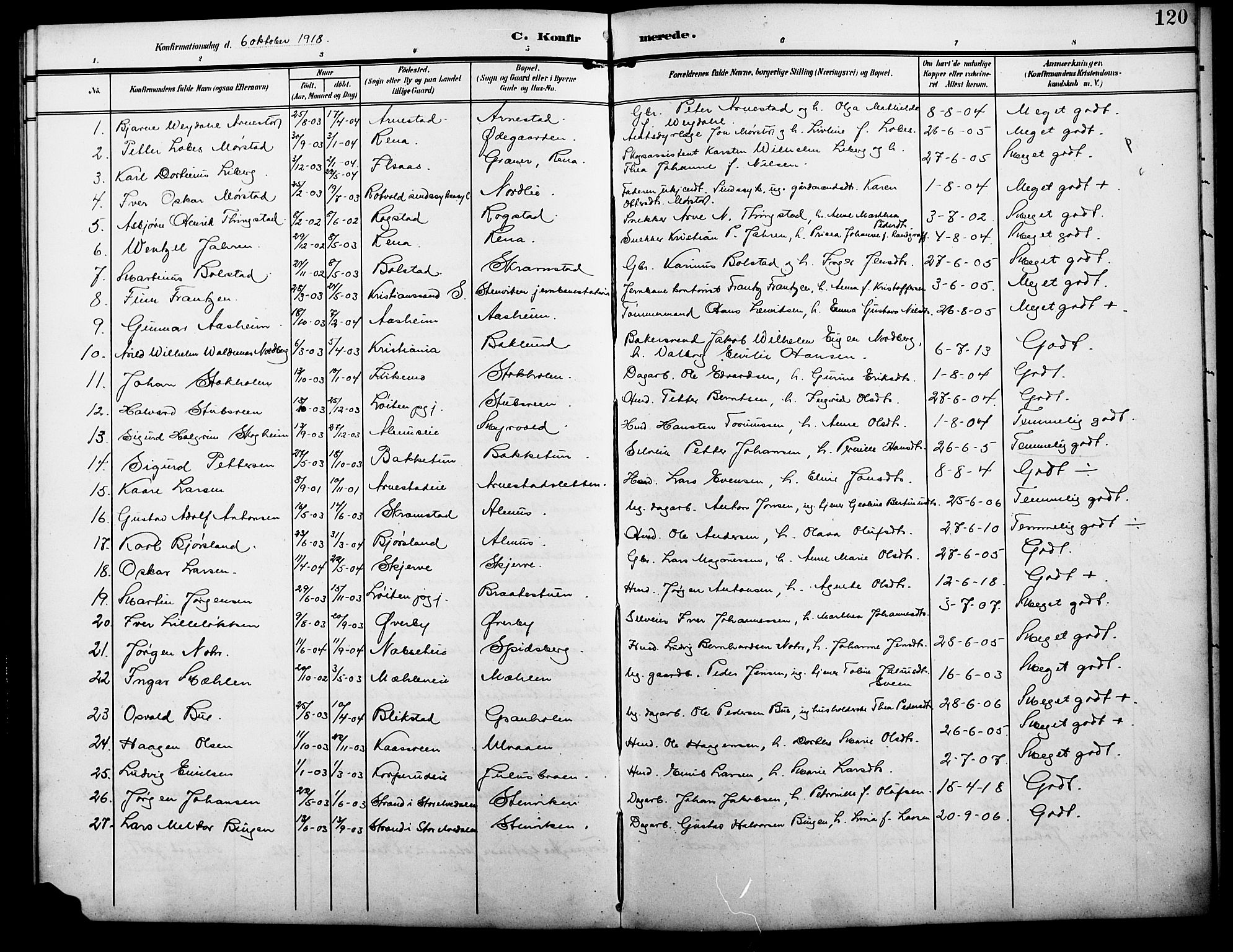 Åmot prestekontor, Hedmark, AV/SAH-PREST-056/H/Ha/Hab/L0004: Parish register (copy) no. 4, 1905-1920, p. 120