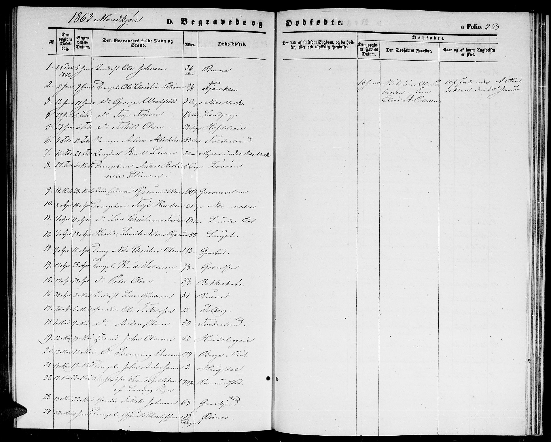 Holt sokneprestkontor, AV/SAK-1111-0021/F/Fb/L0008: Parish register (copy) no. B 8, 1858-1871, p. 253