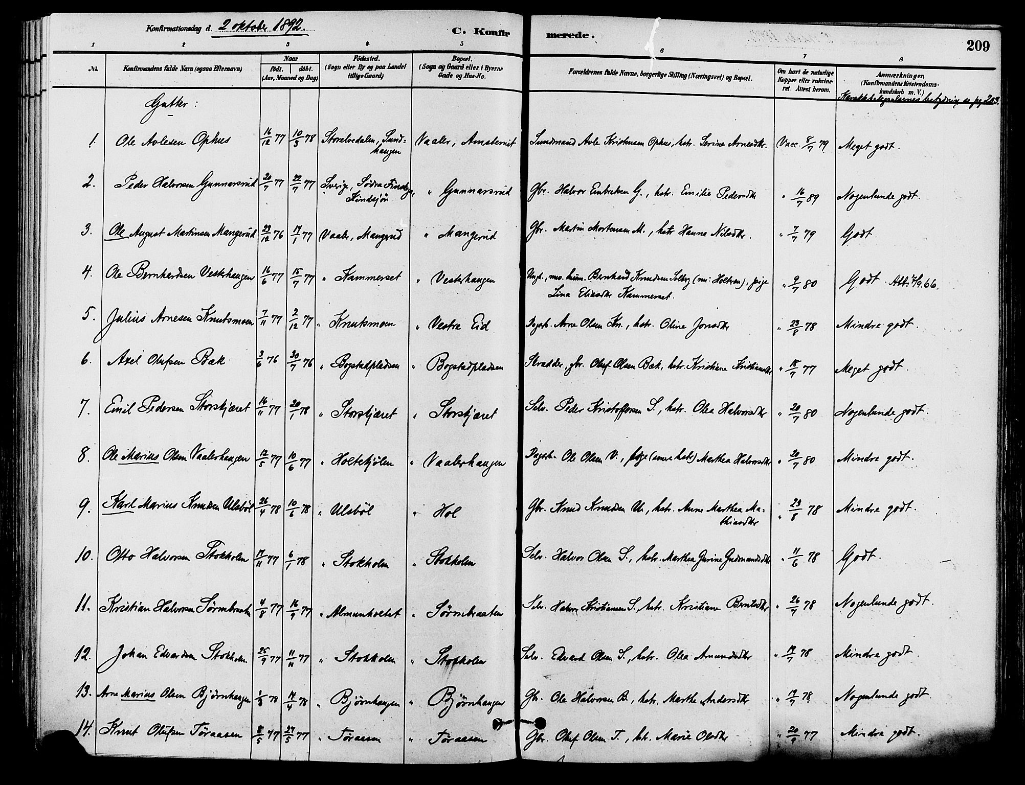 Våler prestekontor, Hedmark, SAH/PREST-040/H/Ha/Haa/L0002: Parish register (official) no. 3, 1879-1911, p. 209