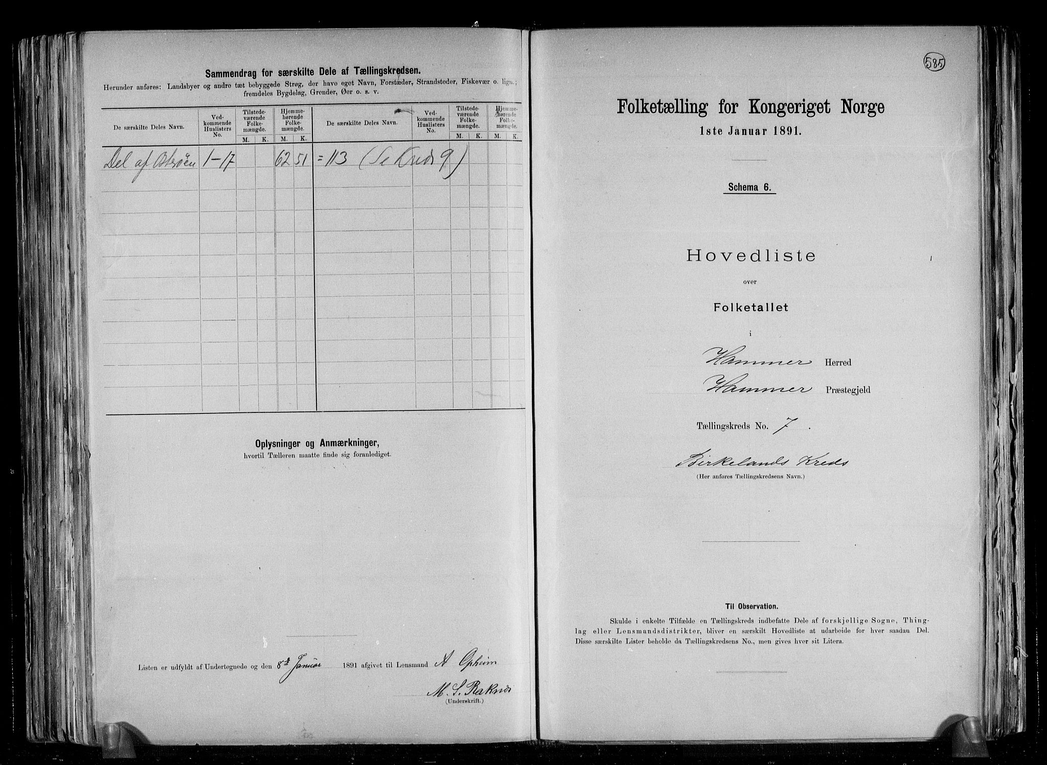 RA, 1891 census for 1254 Hamre, 1891, p. 19
