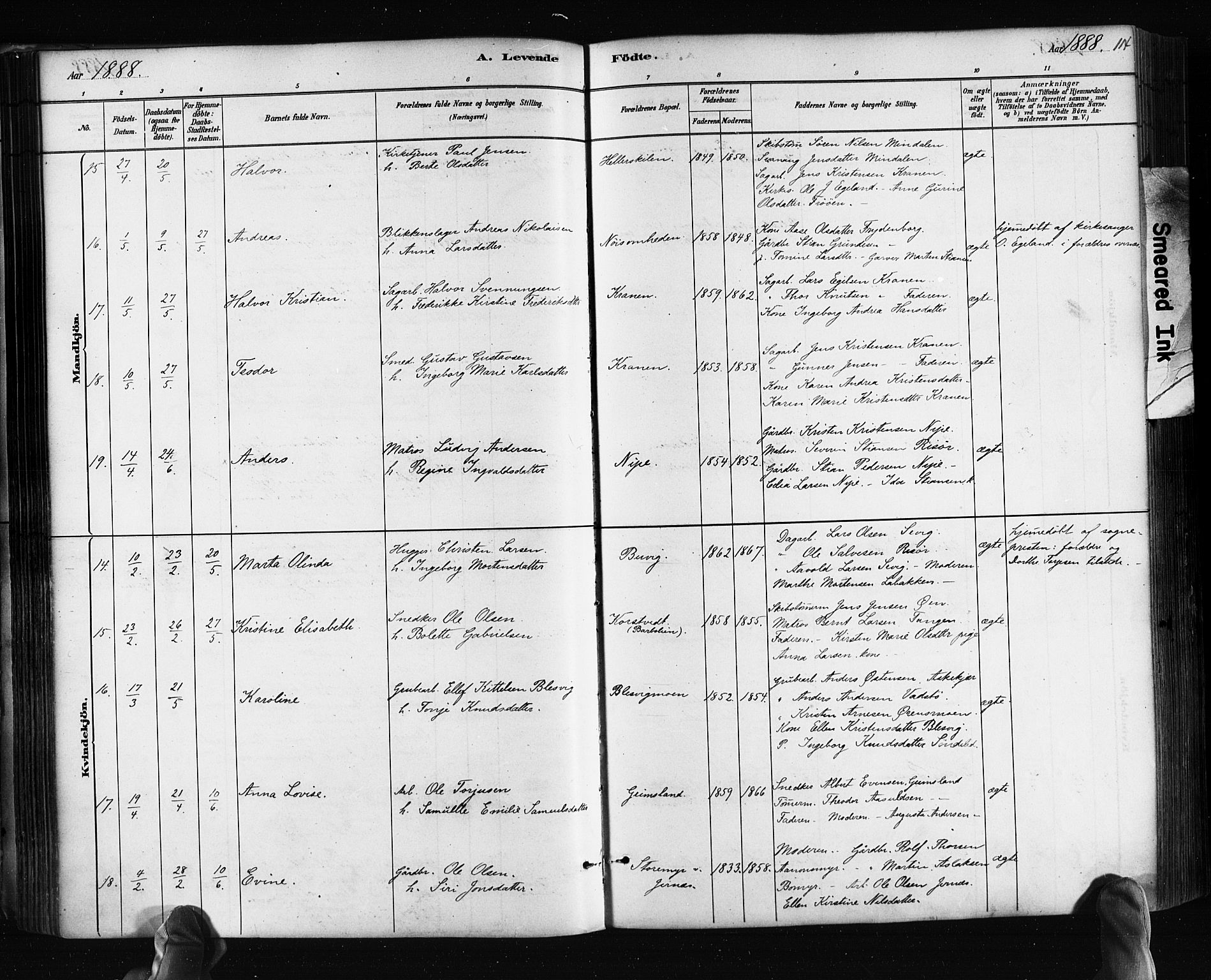 Søndeled sokneprestkontor, AV/SAK-1111-0038/F/Fa/L0004: Parish register (official) no. A 4, 1880-1889, p. 114