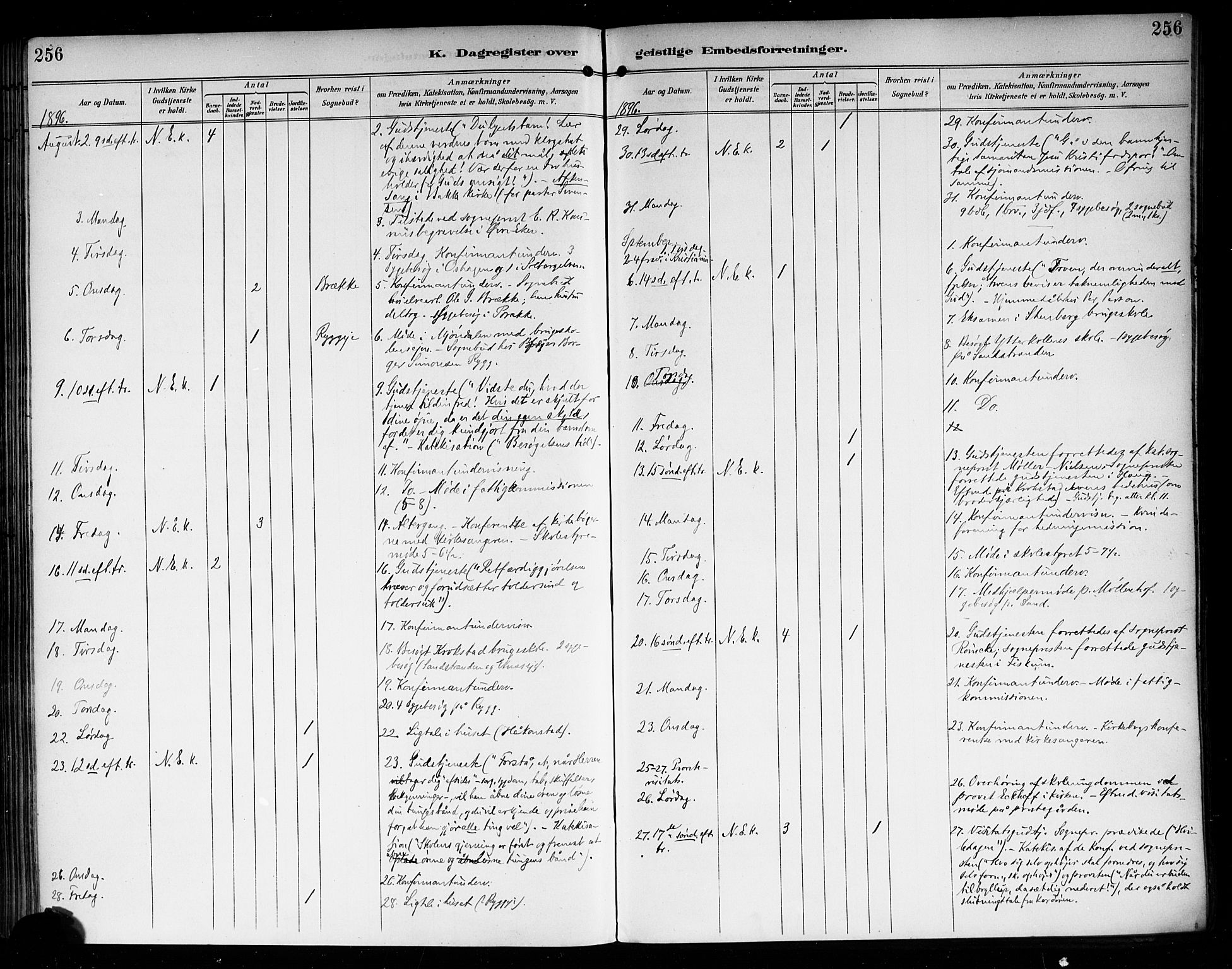 Nedre Eiker kirkebøker, AV/SAKO-A-612/F/Fa/L0004: Parish register (official) no. 4, 1893-1898, p. 256
