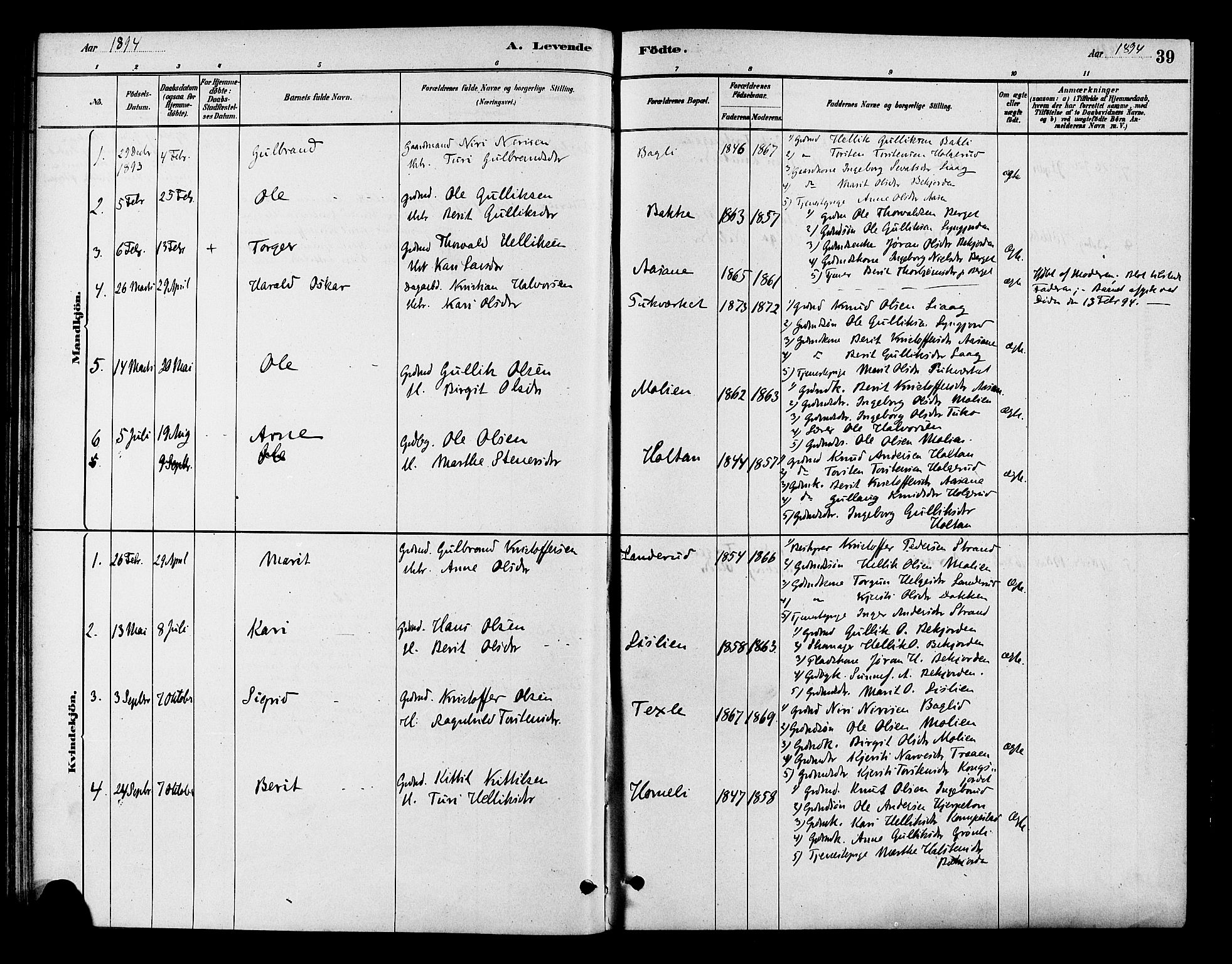 Flesberg kirkebøker, SAKO/A-18/F/Fc/L0001: Parish register (official) no. III 1, 1879-1905, p. 39
