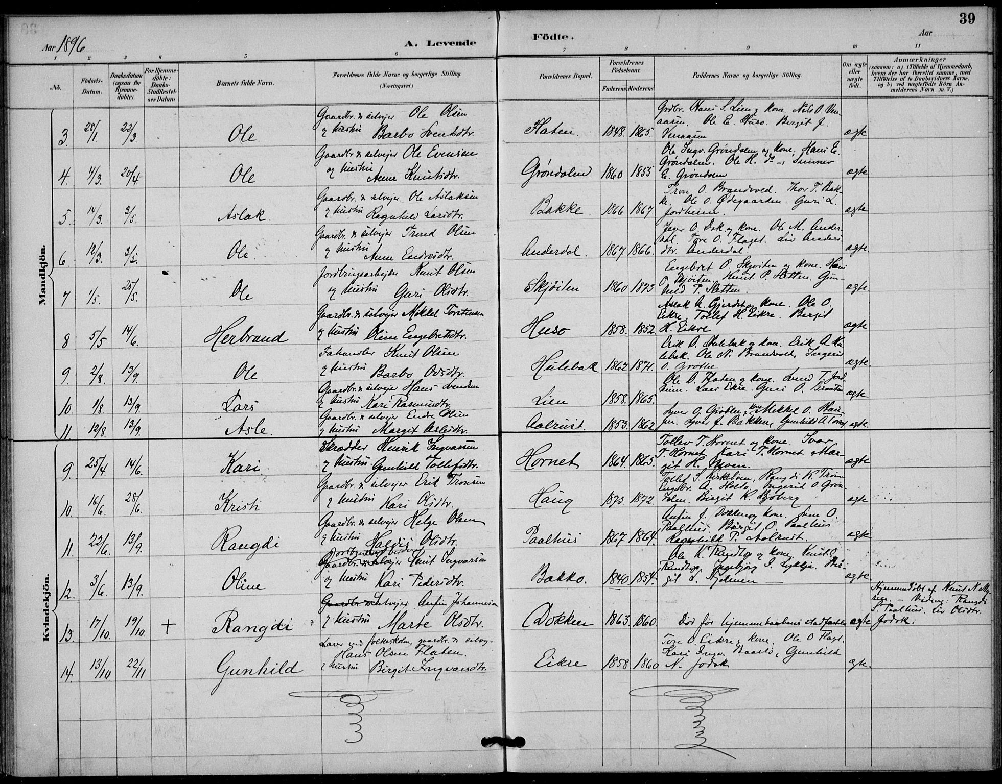 Gol kirkebøker, AV/SAKO-A-226/F/Fb/L0001: Parish register (official) no. II 1, 1887-1900, p. 39