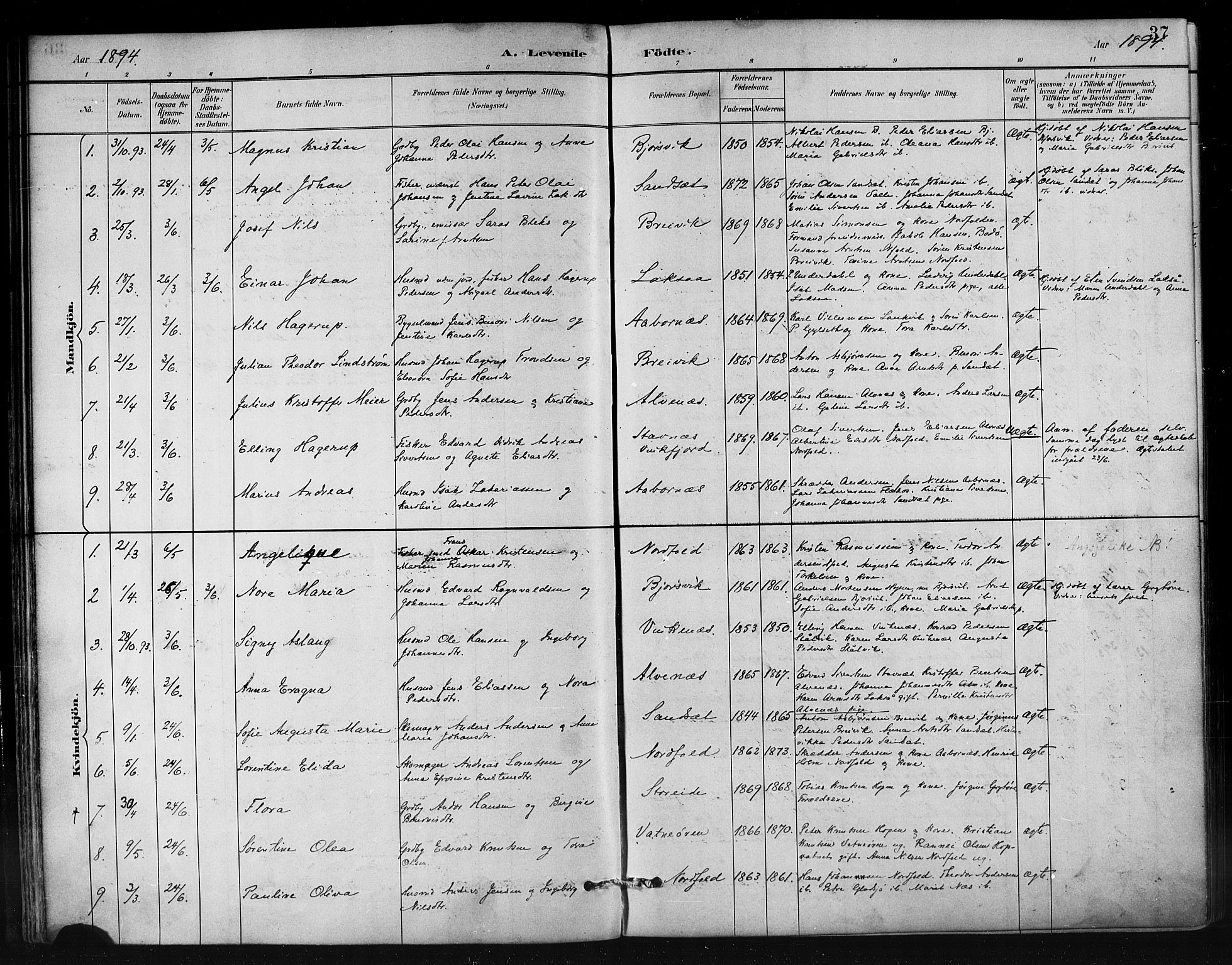 Ministerialprotokoller, klokkerbøker og fødselsregistre - Nordland, AV/SAT-A-1459/858/L0831: Parish register (official) no. 858A01, 1884-1902, p. 37