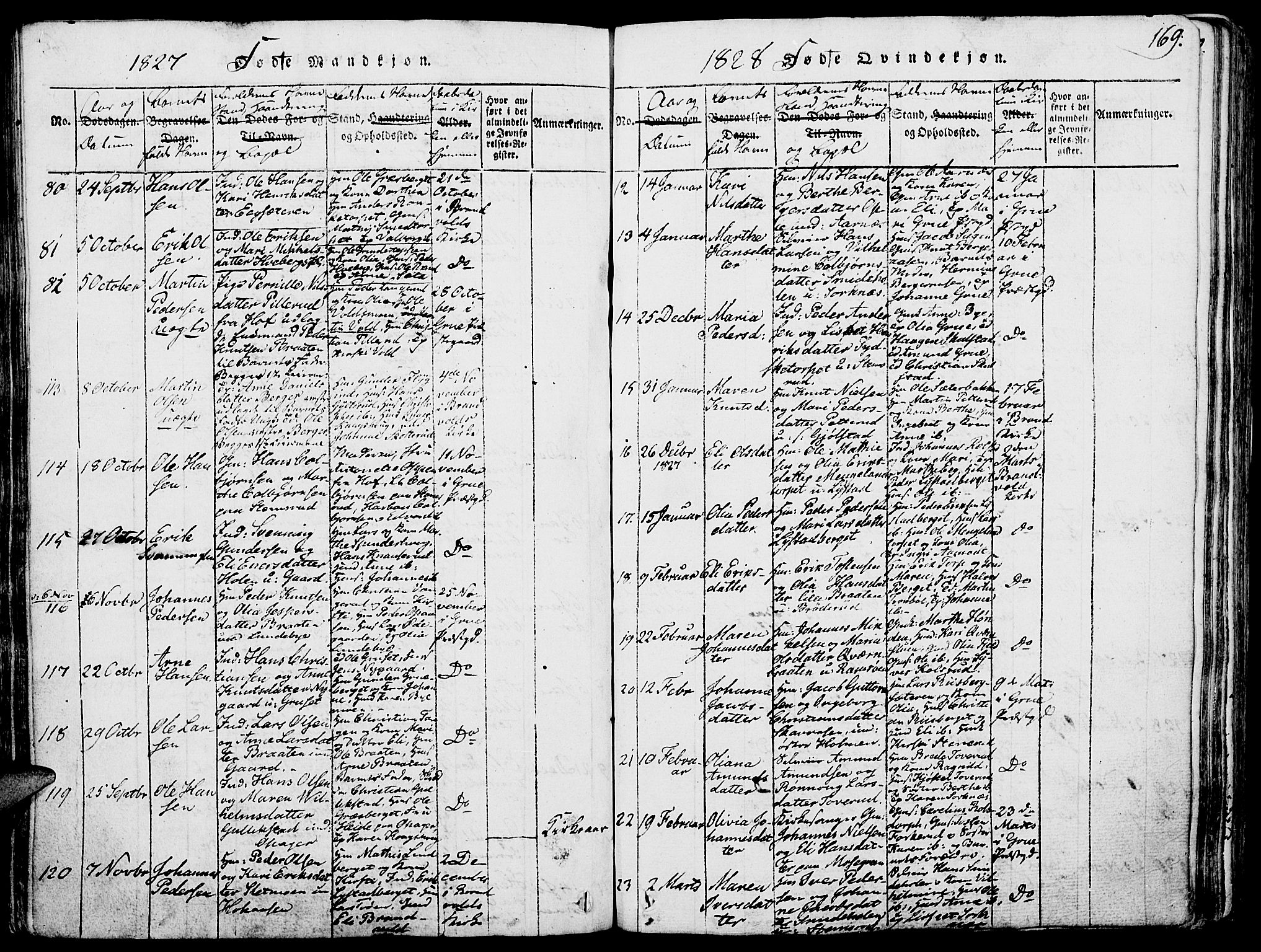 Grue prestekontor, SAH/PREST-036/H/Ha/Haa/L0006: Parish register (official) no. 6, 1814-1830, p. 169