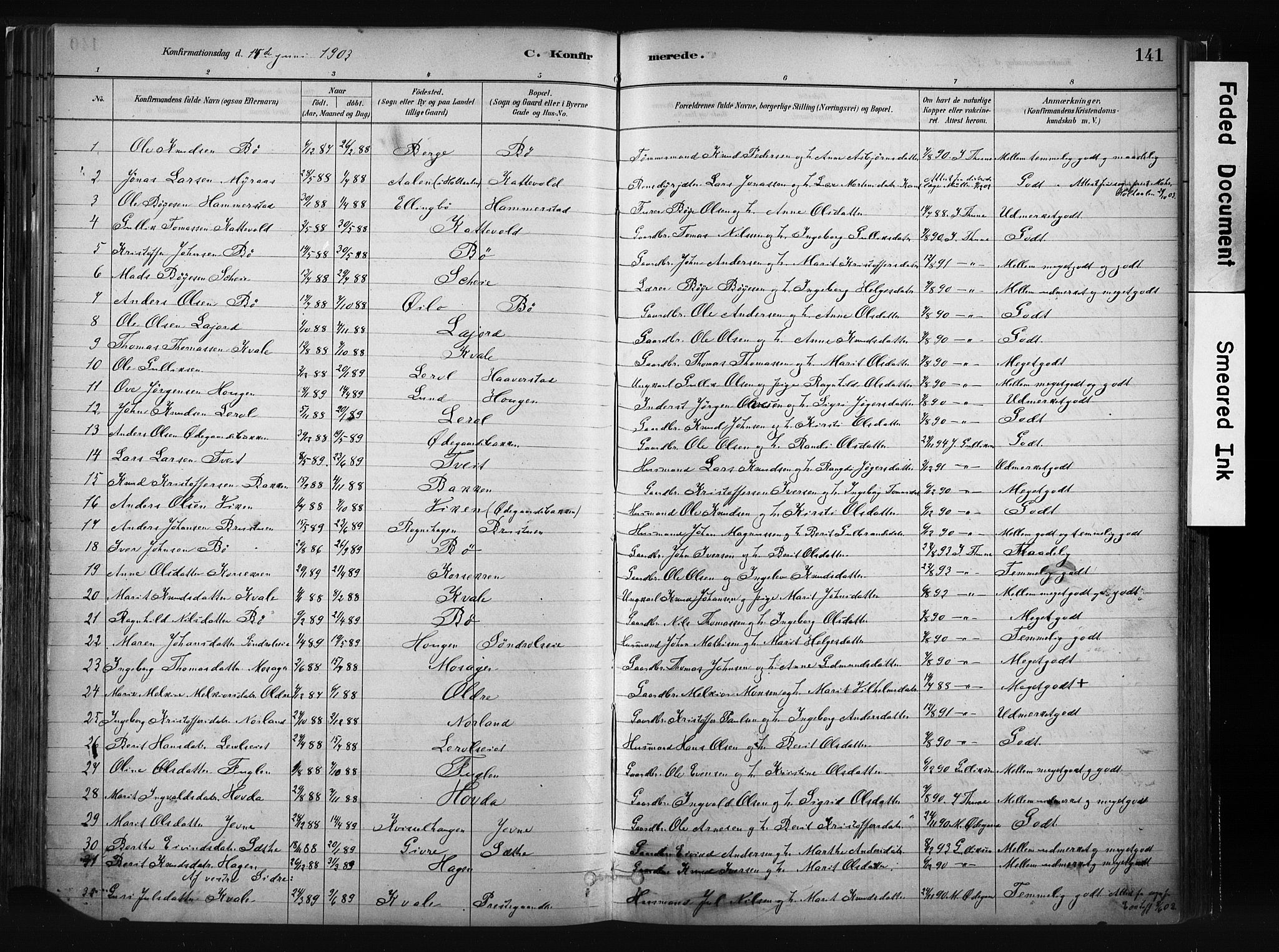 Vang prestekontor, Valdres, SAH/PREST-140/H/Ha/L0008: Parish register (official) no. 8, 1882-1910, p. 141