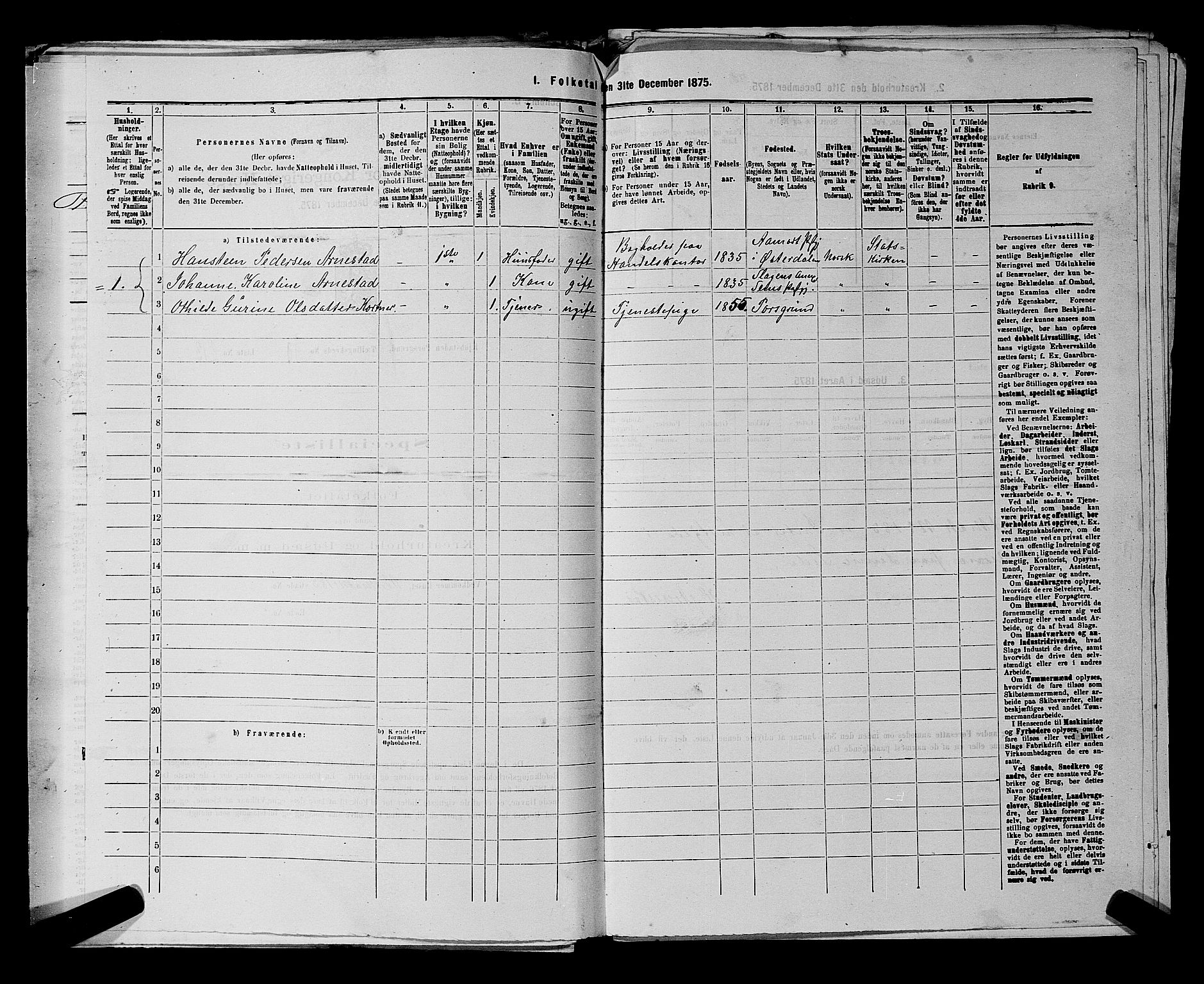 SAKO, 1875 census for 0805P Porsgrunn, 1875, p. 493