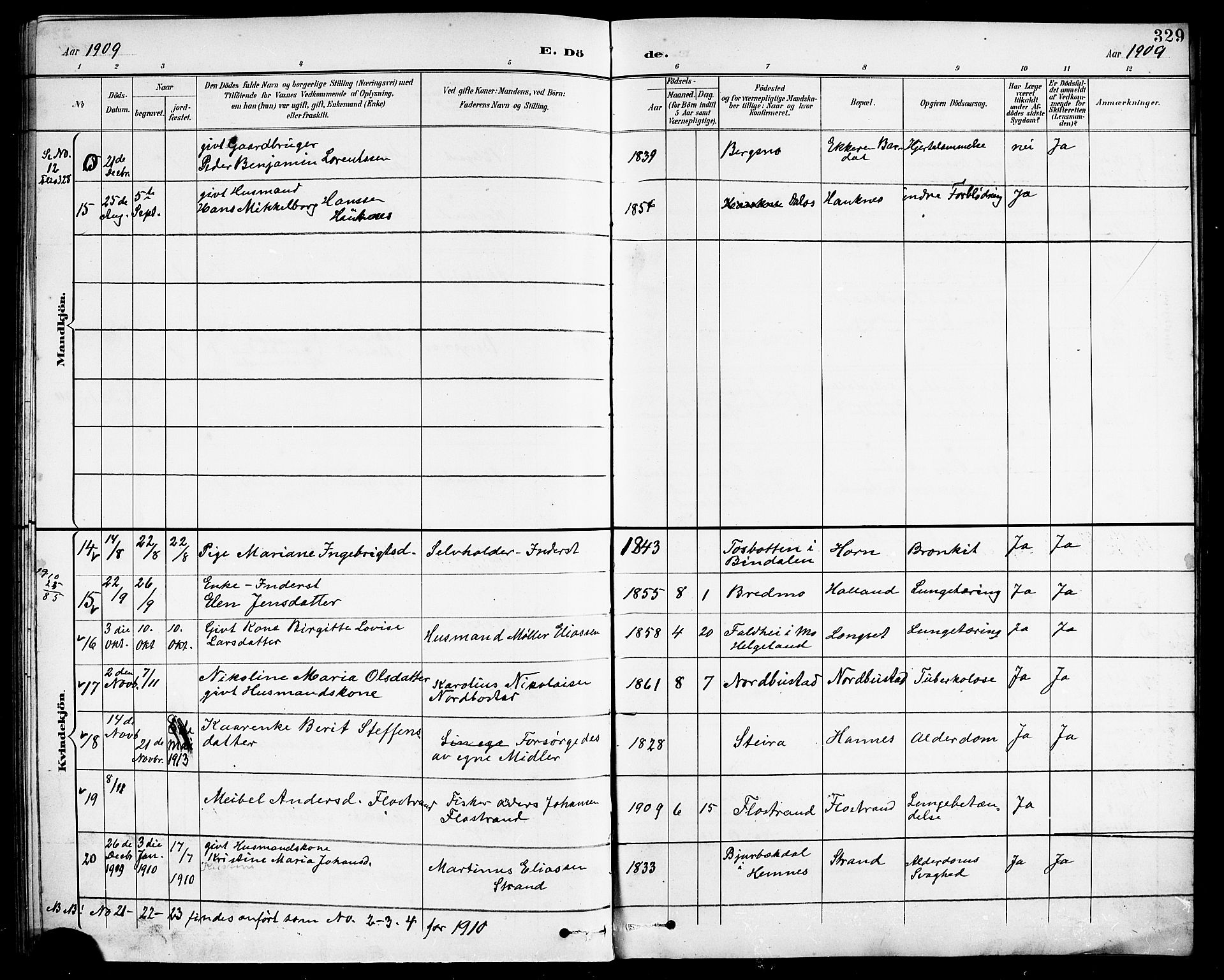 Ministerialprotokoller, klokkerbøker og fødselsregistre - Nordland, AV/SAT-A-1459/838/L0559: Parish register (copy) no. 838C06, 1893-1910, p. 329