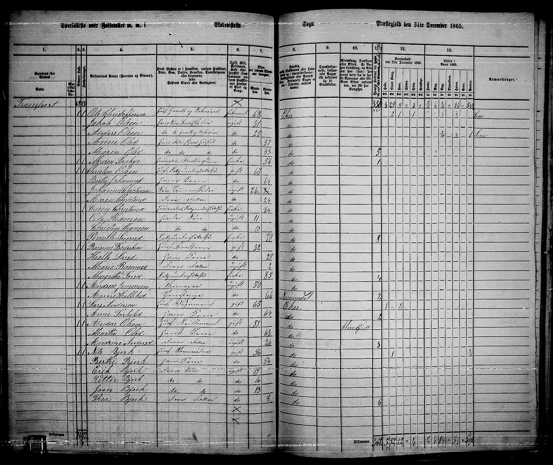 RA, 1865 census for Eiker, 1865, p. 209