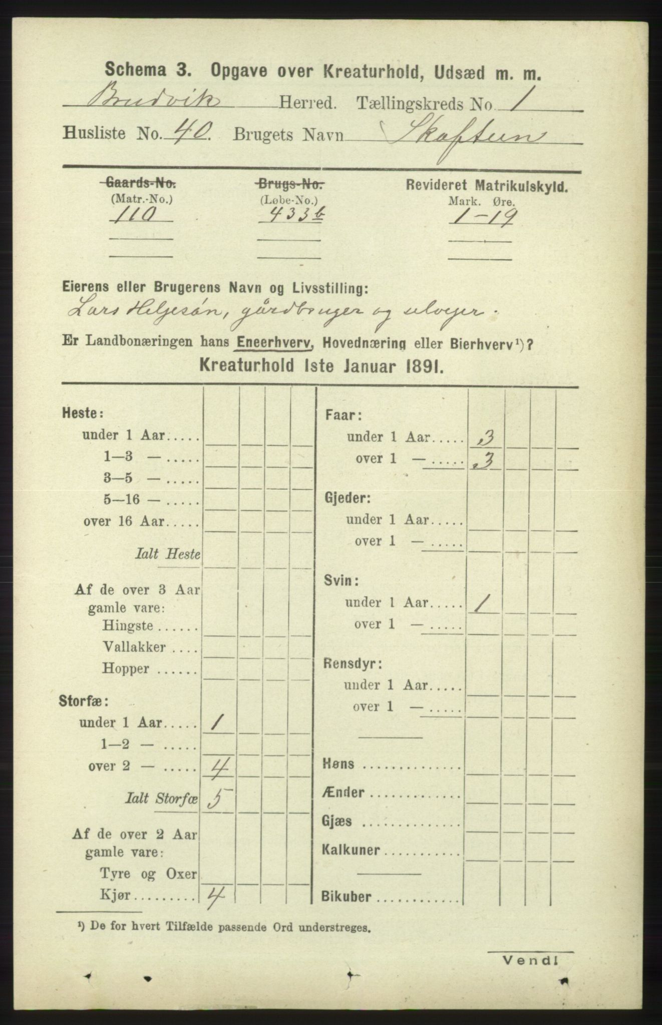 RA, 1891 census for 1251 Bruvik, 1891, p. 4227