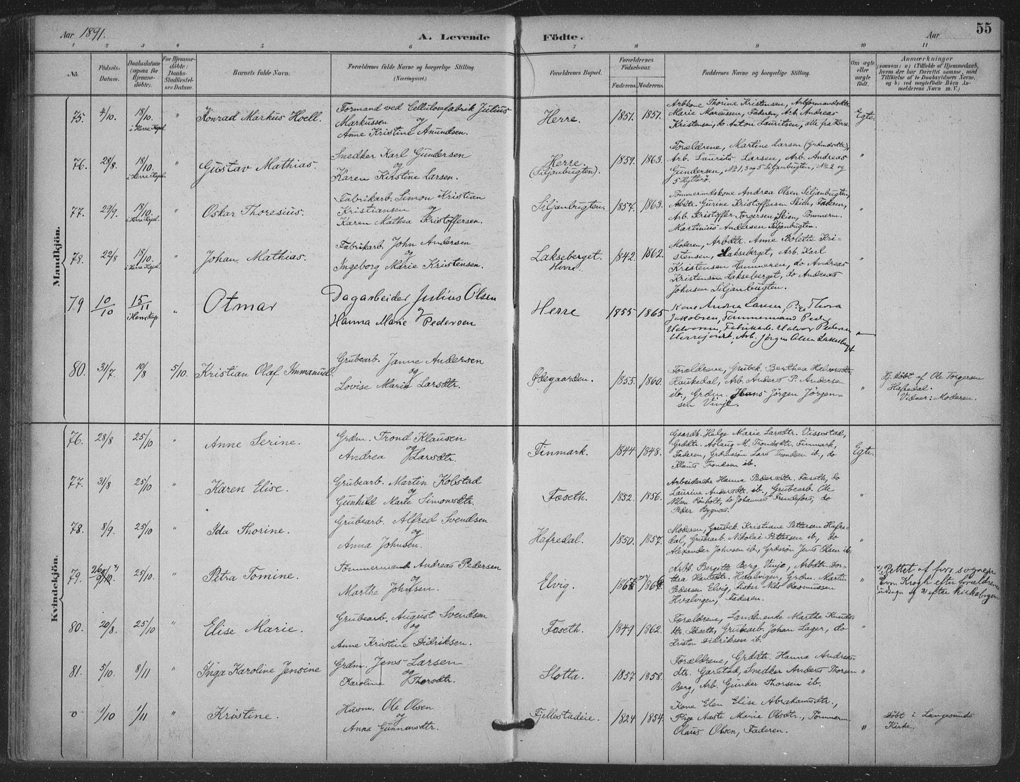 Bamble kirkebøker, AV/SAKO-A-253/F/Fa/L0008: Parish register (official) no. I 8, 1888-1900, p. 55